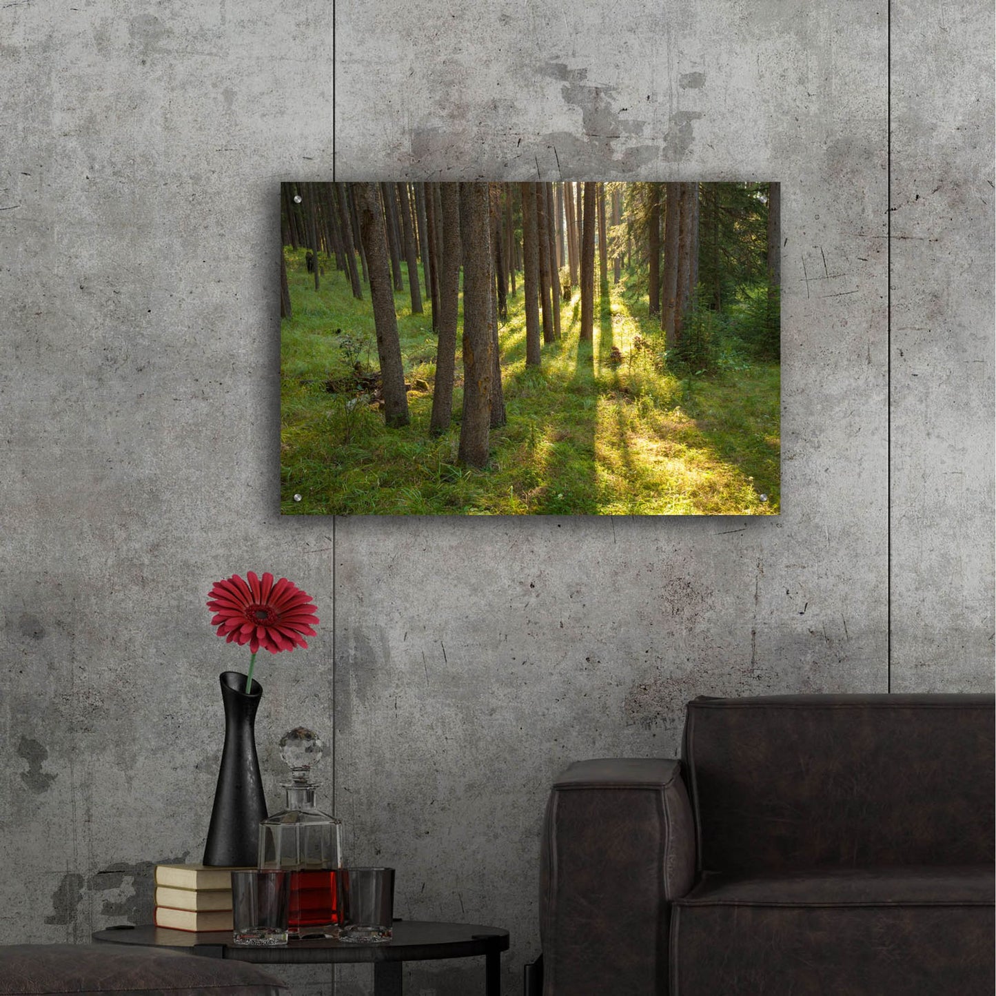 Epic Art 'Tree Sunset 1' by Joe Reimer Photography, Acrylic Glass Wall Art,36x24