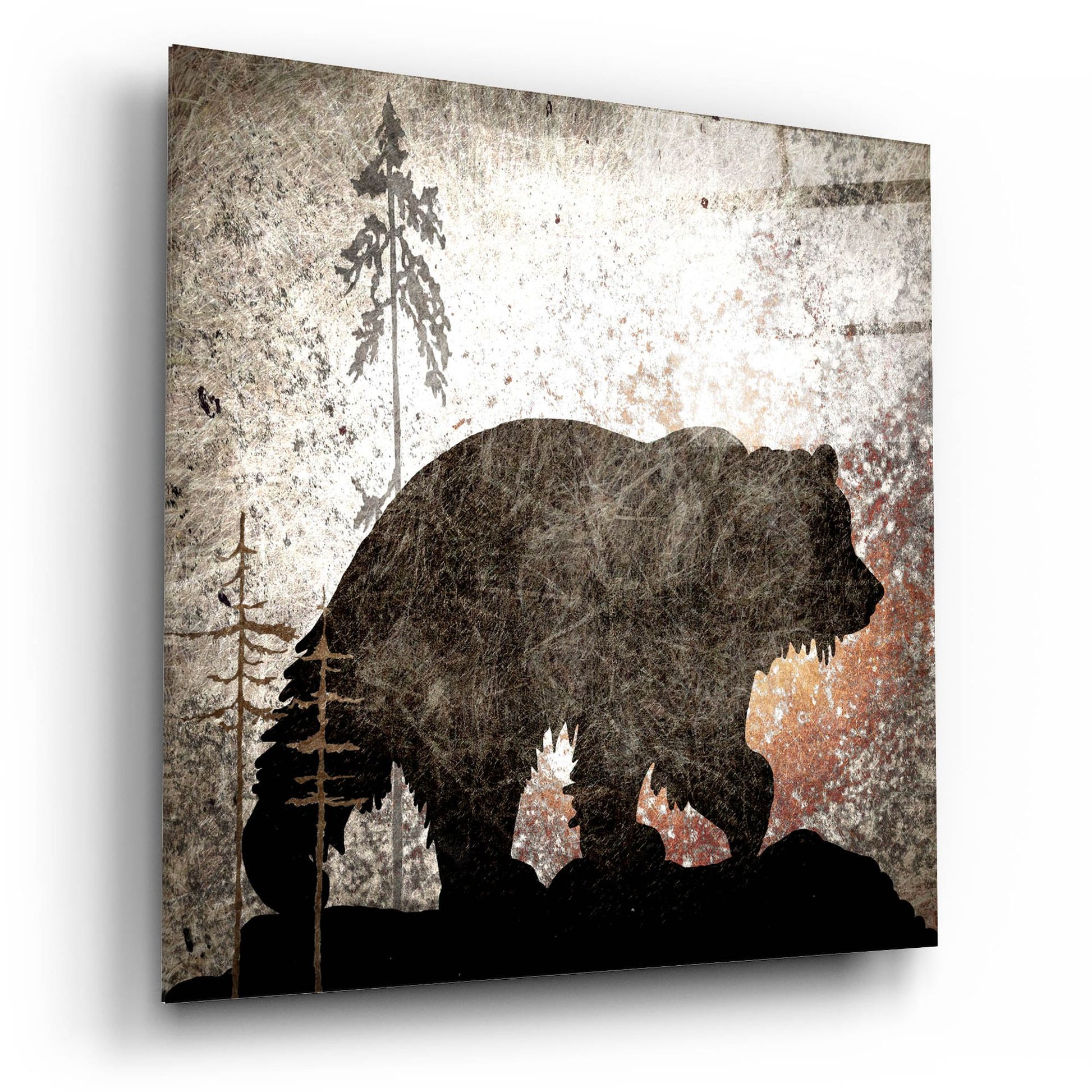 Epic Art 'Calling Bear' by Lightbox Journal, Acrylic Glass Wall Art,12x12