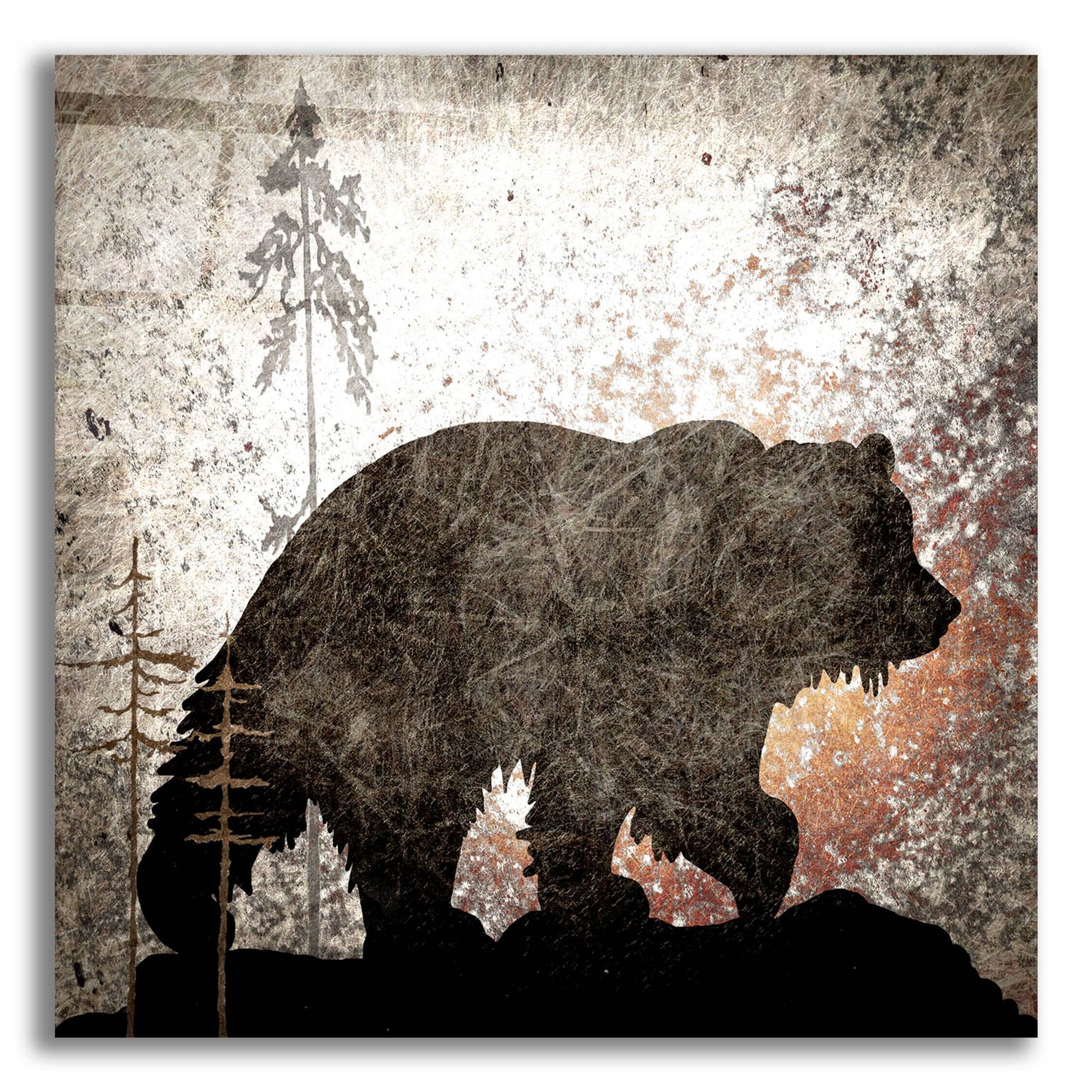 Epic Art 'Calling Bear' by Lightbox Journal, Acrylic Glass Wall Art,12x12