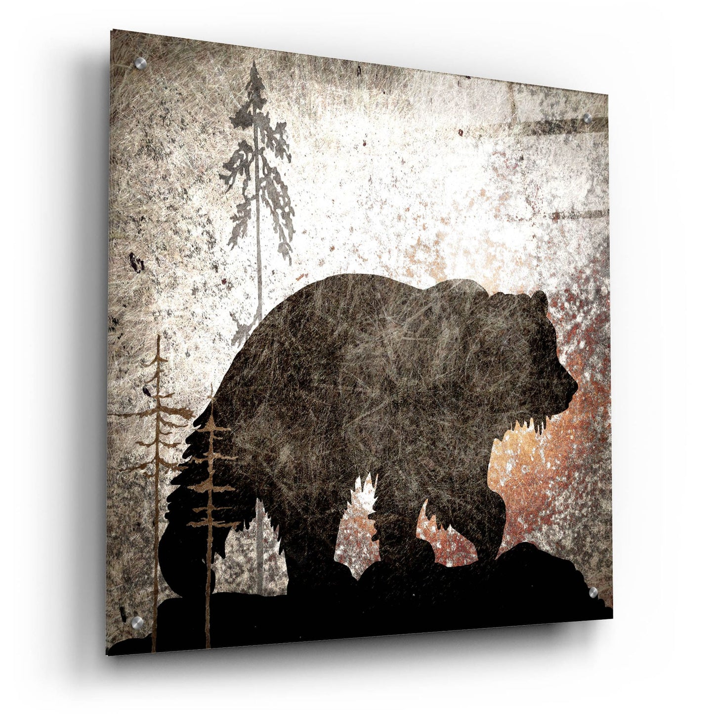 Epic Art 'Calling Bear' by Lightbox Journal, Acrylic Glass Wall Art,24x24