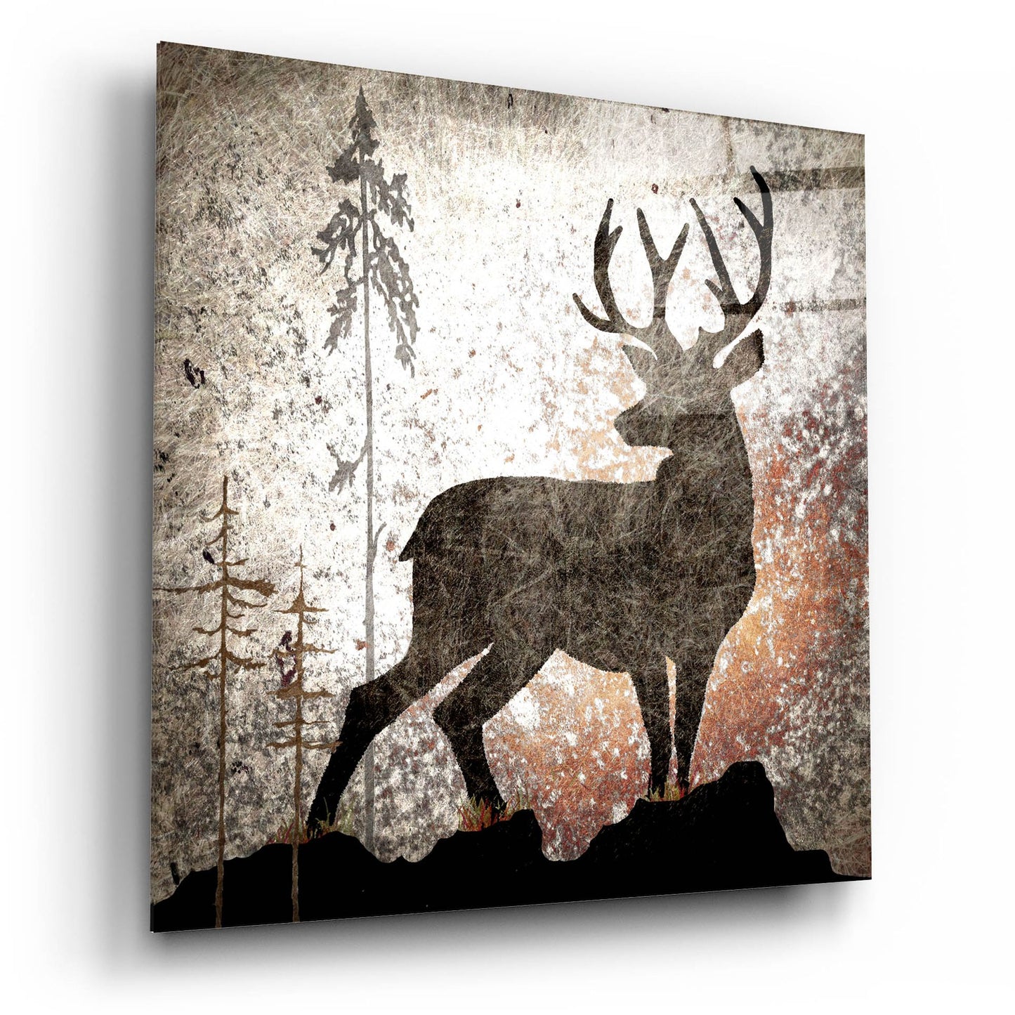 Epic Art 'Calling Deer' by Lightbox Journal, Acrylic Glass Wall Art,12x12