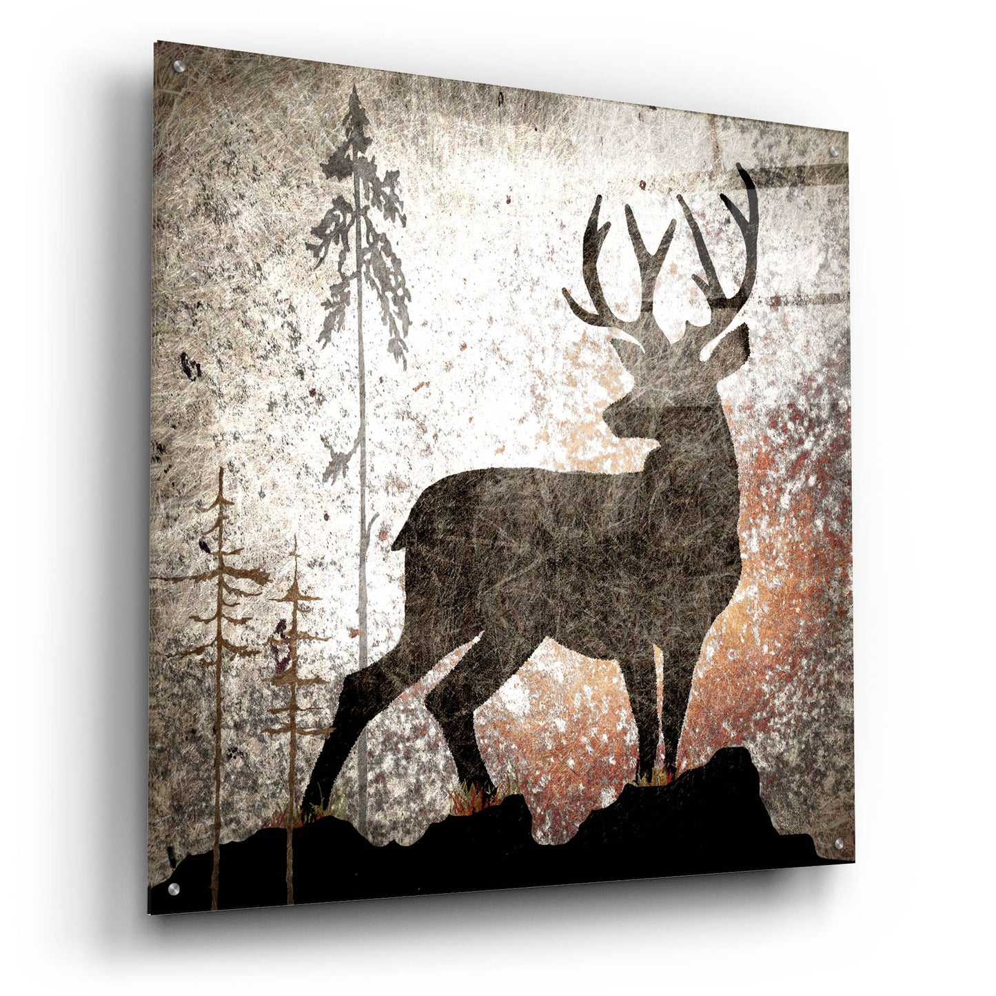 Epic Art 'Calling Deer' by Lightbox Journal, Acrylic Glass Wall Art,36x36