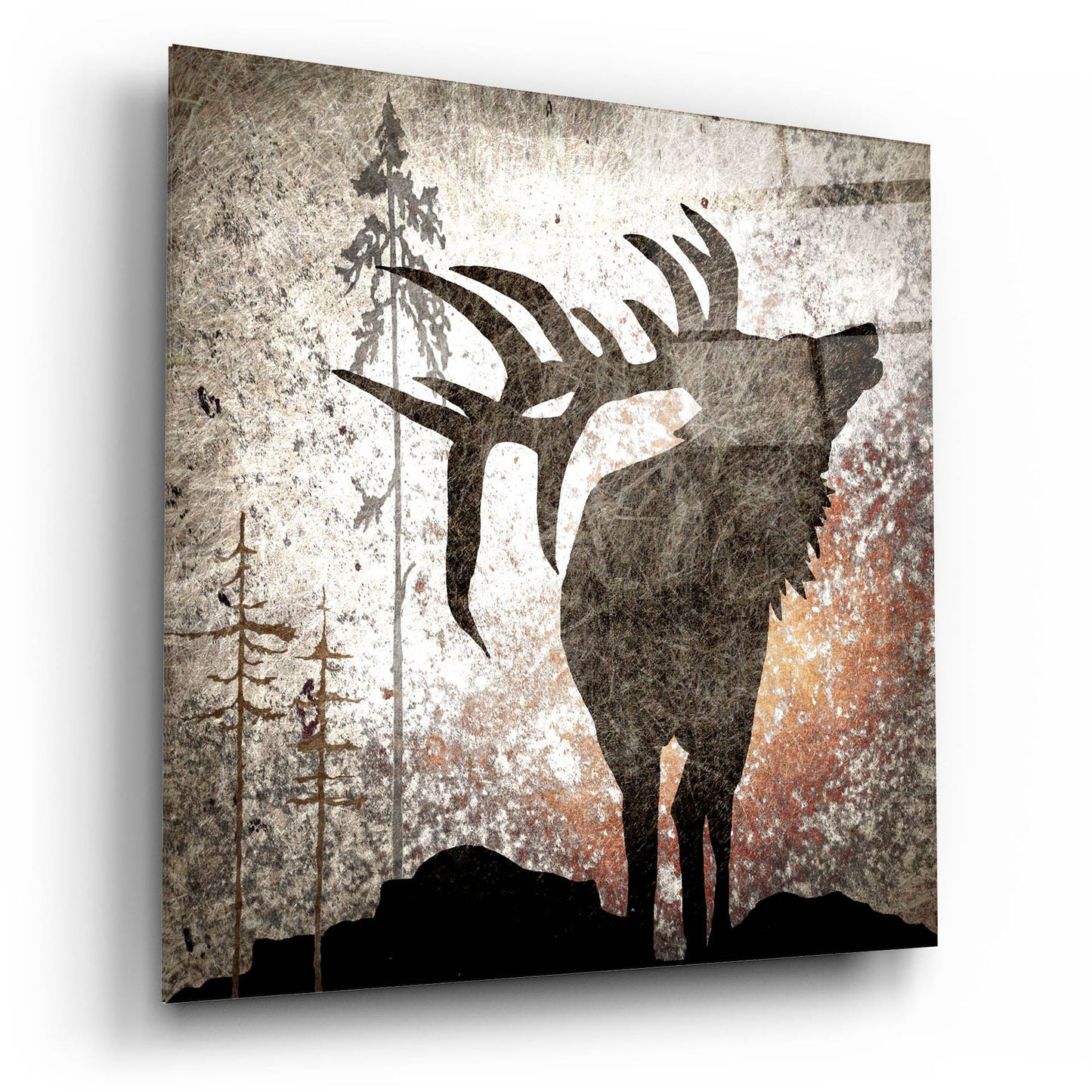 Epic Art 'Calling Elk' by Lightbox Journal, Acrylic Glass Wall Art,12x12