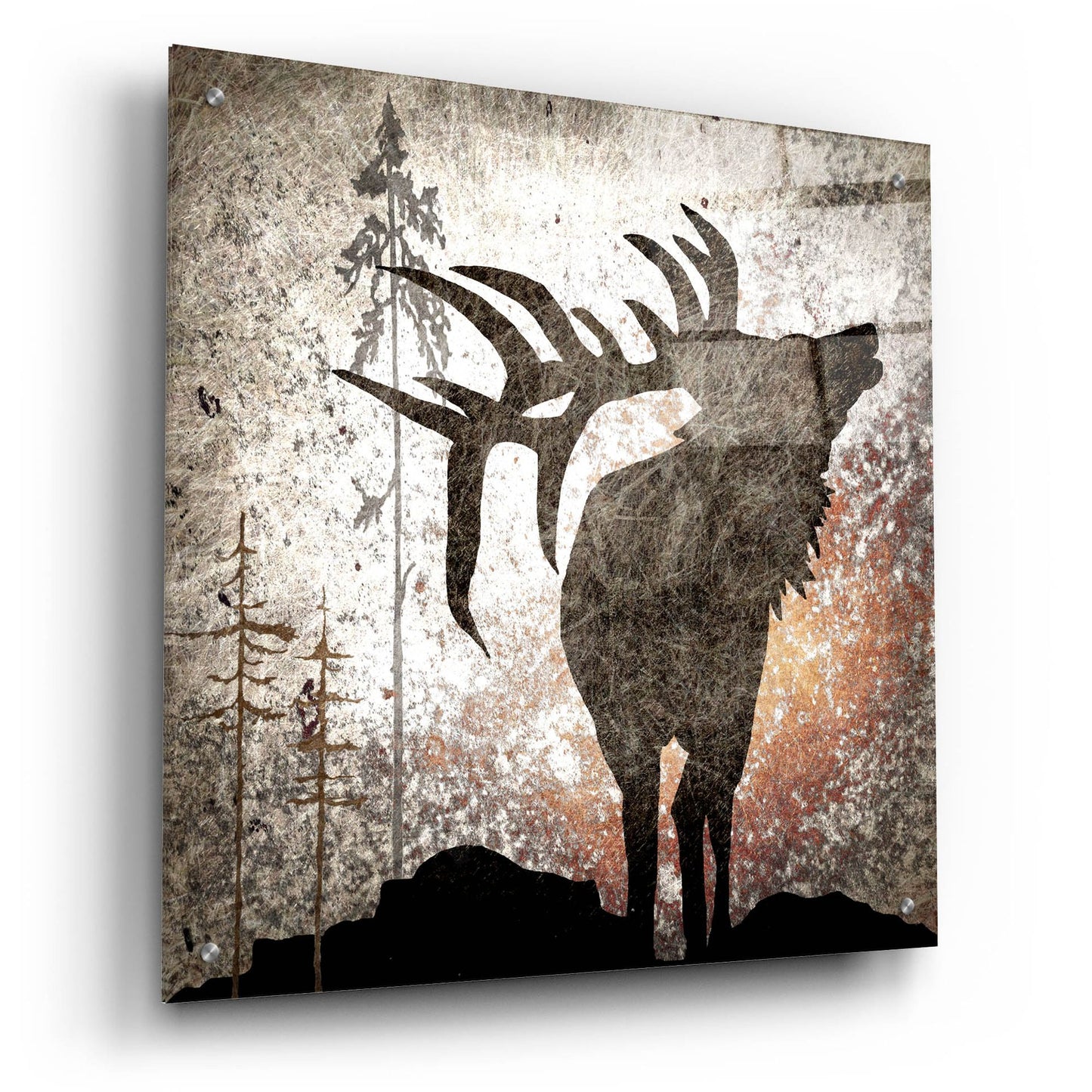 Epic Art 'Calling Elk' by Lightbox Journal, Acrylic Glass Wall Art,24x24