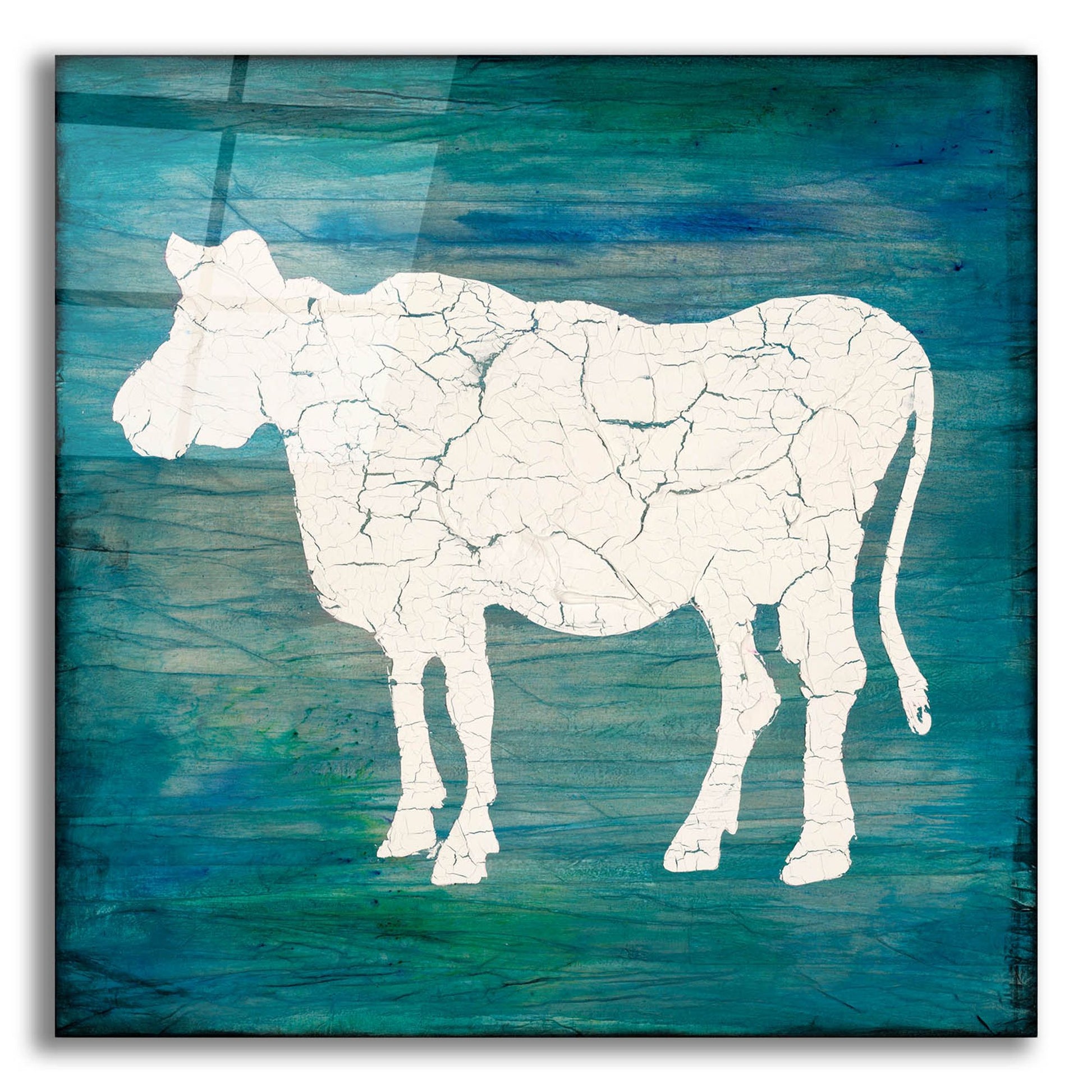 Epic Art 'Farm Cow' by Lightbox Journal, Acrylic Glass Wall Art,12x12