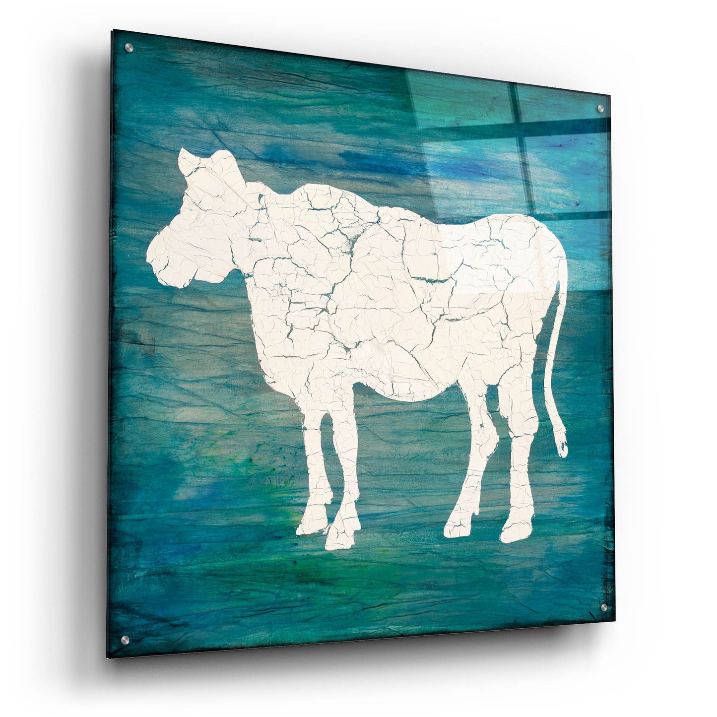 Epic Art 'Farm Cow' by Lightbox Journal, Acrylic Glass Wall Art,36x36