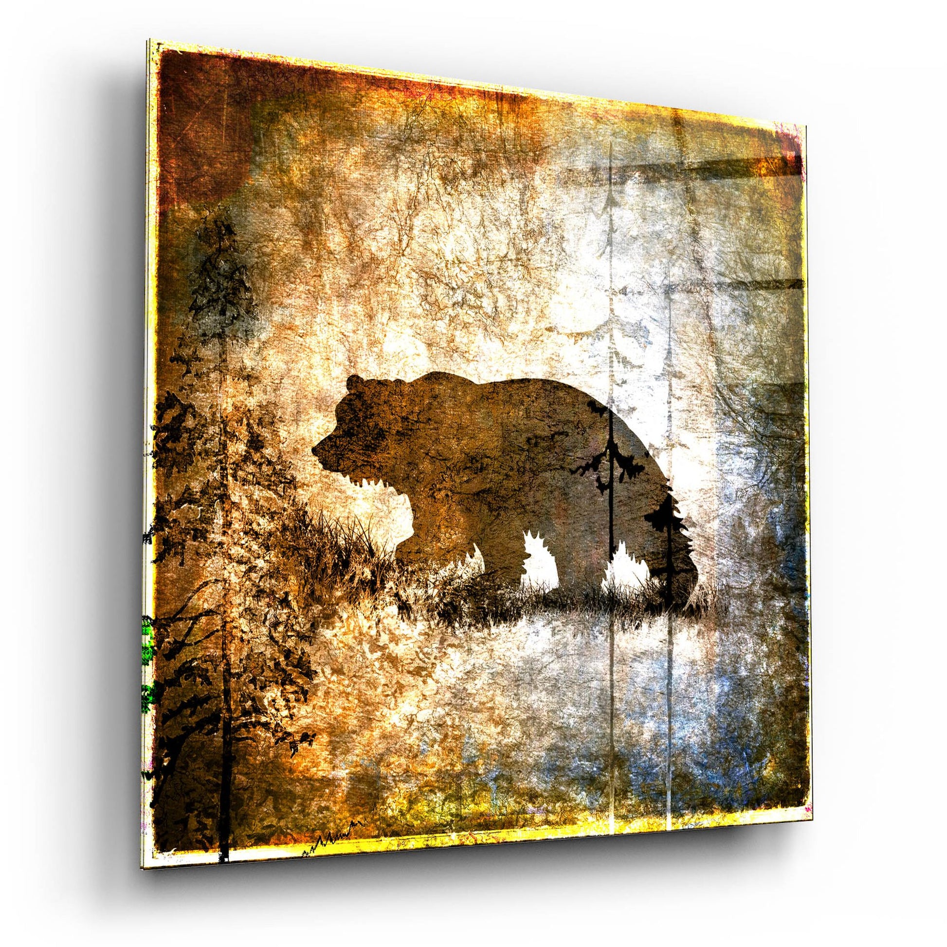 Epic Art 'High Country Bear' by Lightbox Journal, Acrylic Glass Wall Art,12x12