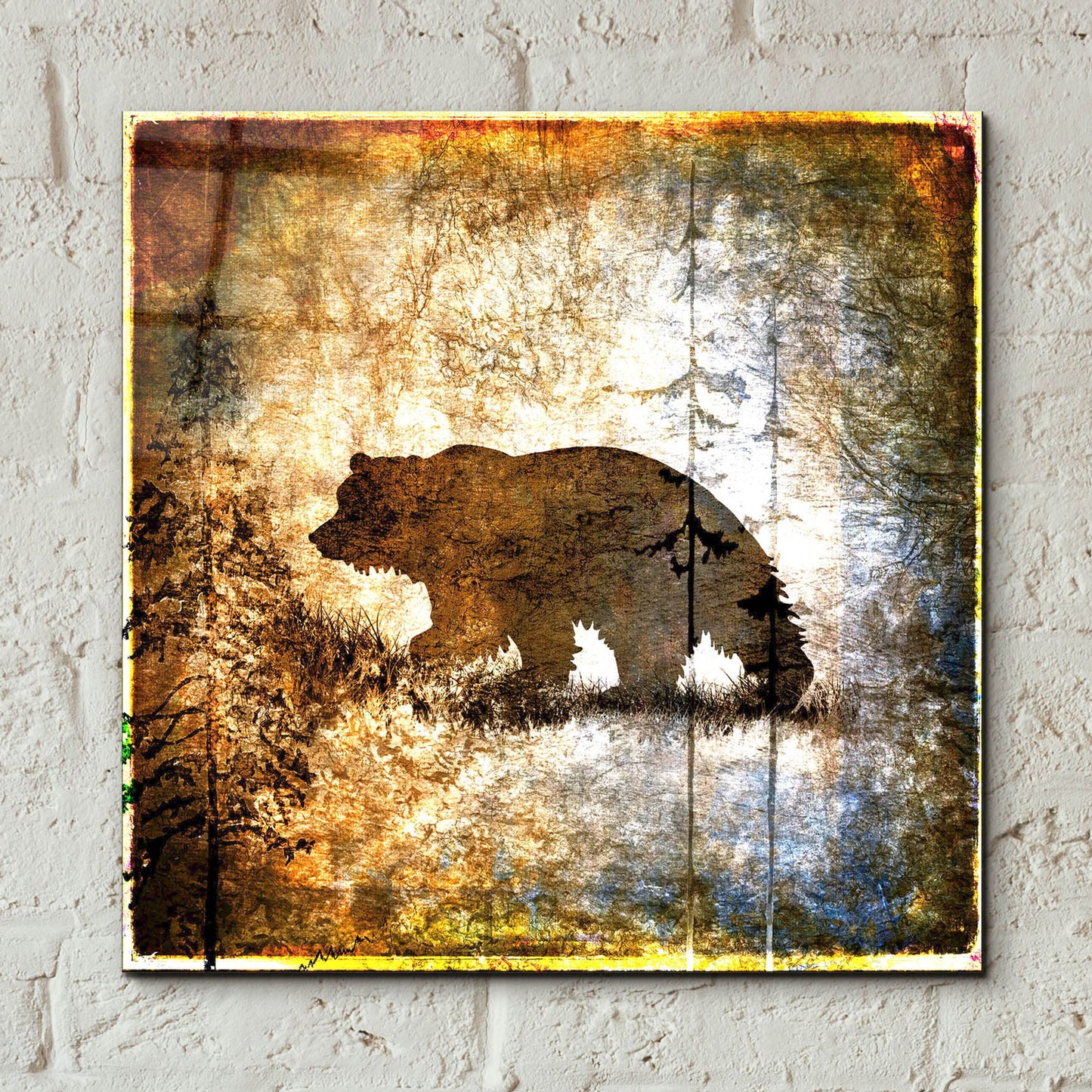 Epic Art 'High Country Bear' by Lightbox Journal, Acrylic Glass Wall Art,12x12