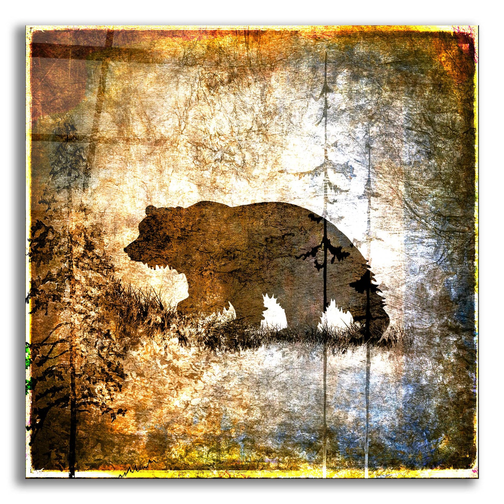 Epic Art 'High Country Bear' by Lightbox Journal, Acrylic Glass Wall Art,12x12