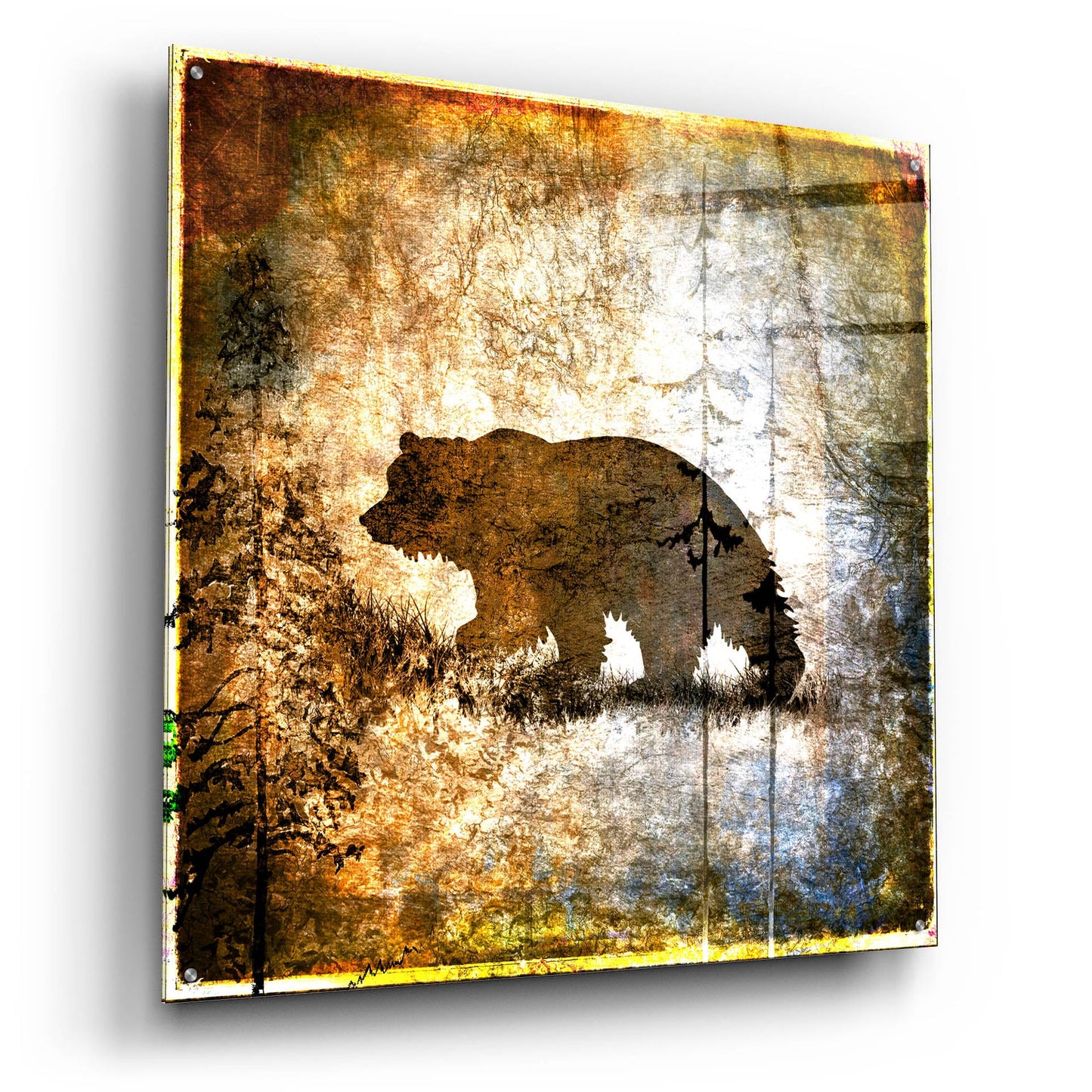 Epic Art 'High Country Bear' by Lightbox Journal, Acrylic Glass Wall Art,36x36