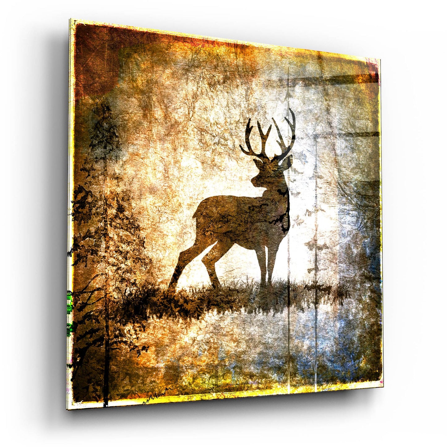 Epic Art 'High Country Deer' by Lightbox Journal, Acrylic Glass Wall Art,12x12