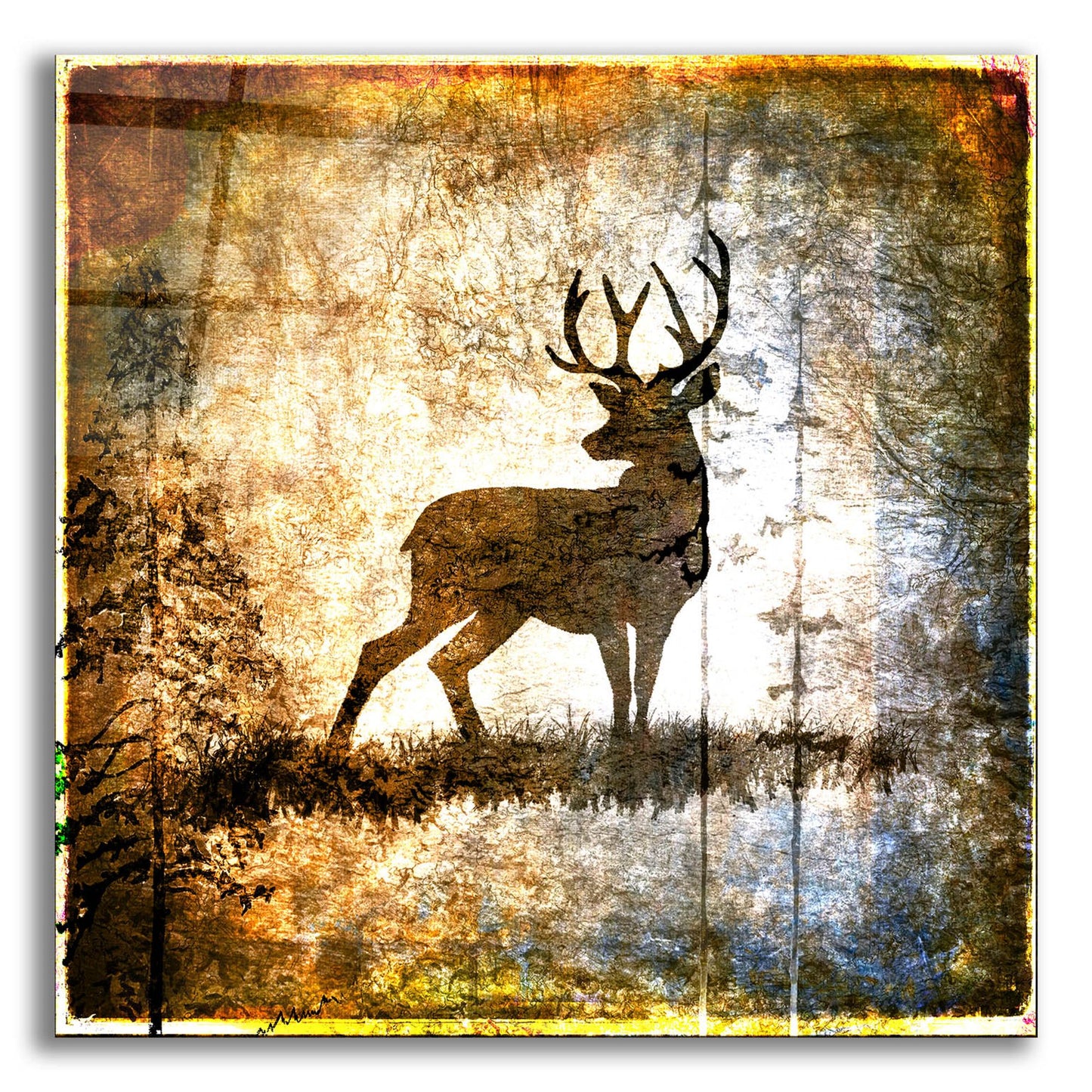 Epic Art 'High Country Deer' by Lightbox Journal, Acrylic Glass Wall Art,12x12