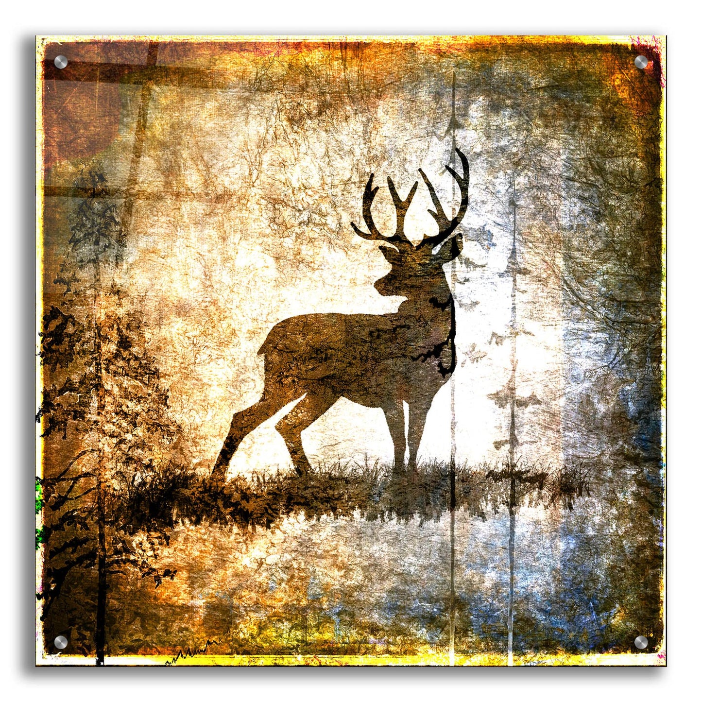 Epic Art 'High Country Deer' by Lightbox Journal, Acrylic Glass Wall Art,24x24