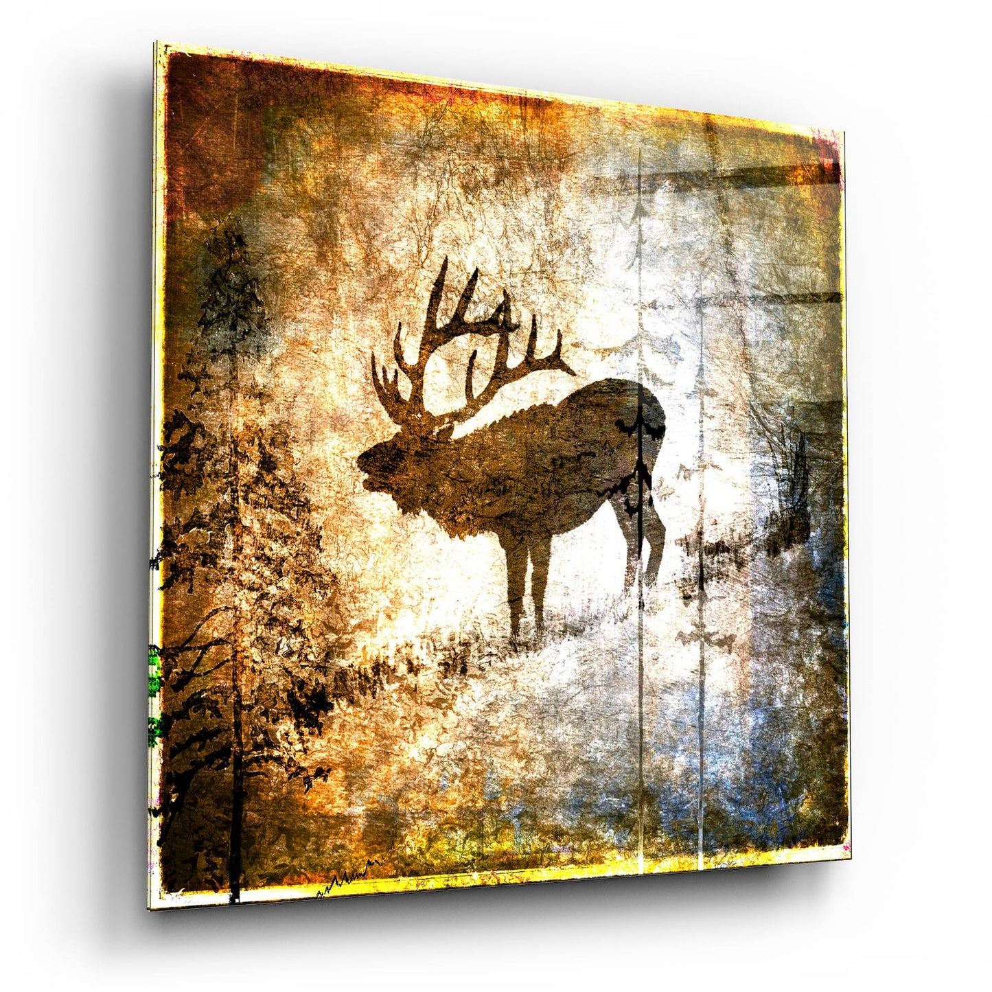 Epic Art 'High Country Elk' by Lightbox Journal, Acrylic Glass Wall Art,12x12