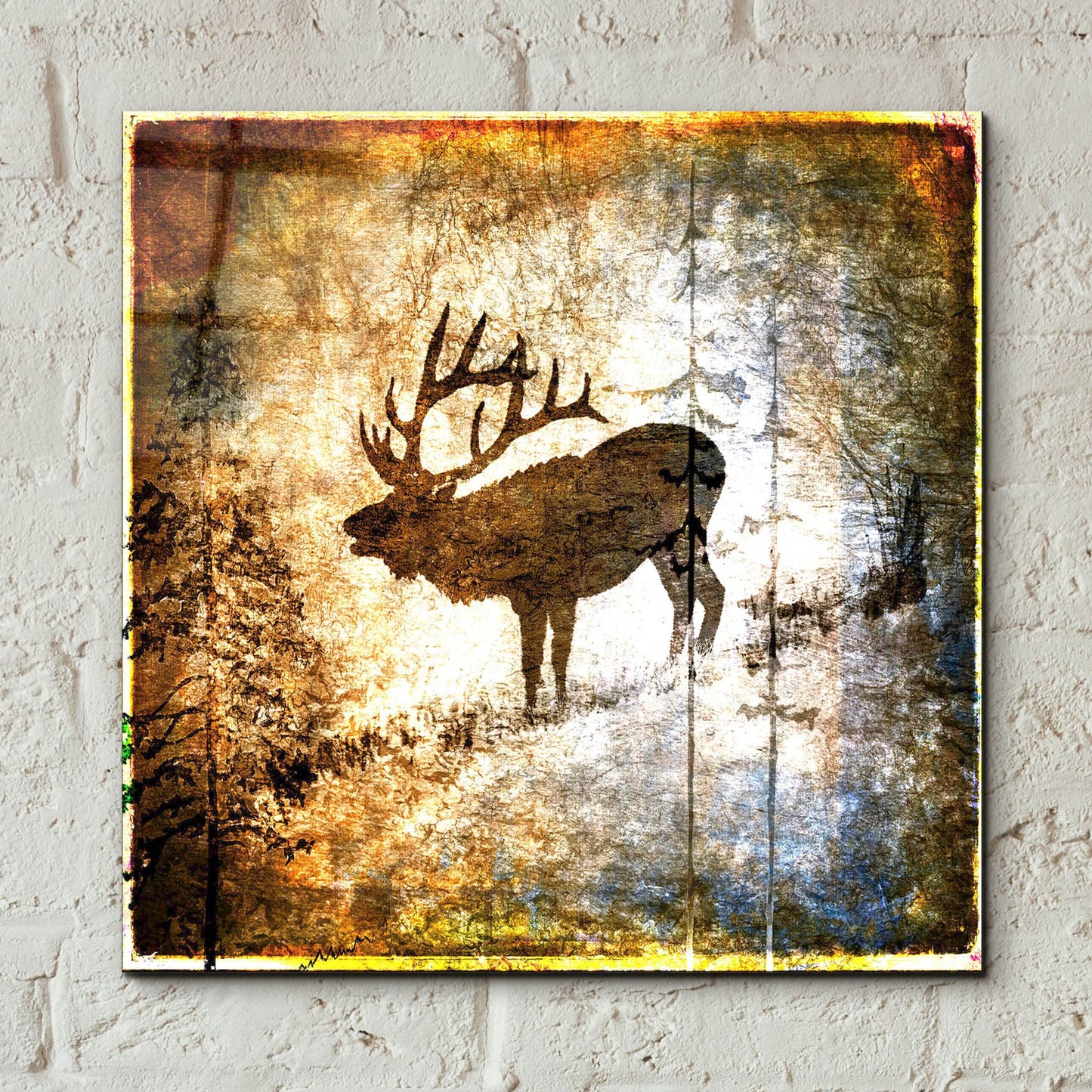 Epic Art 'High Country Elk' by Lightbox Journal, Acrylic Glass Wall Art,12x12