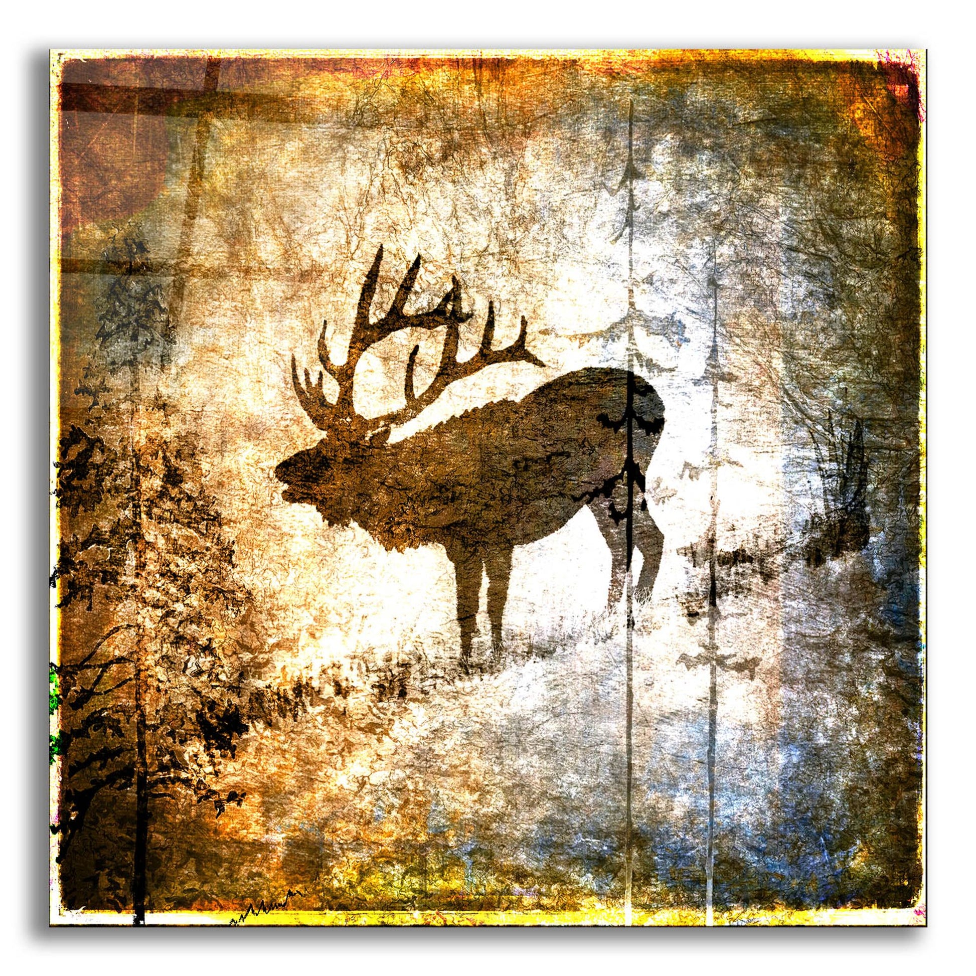 Epic Art 'High Country Elk' by Lightbox Journal, Acrylic Glass Wall Art,12x12