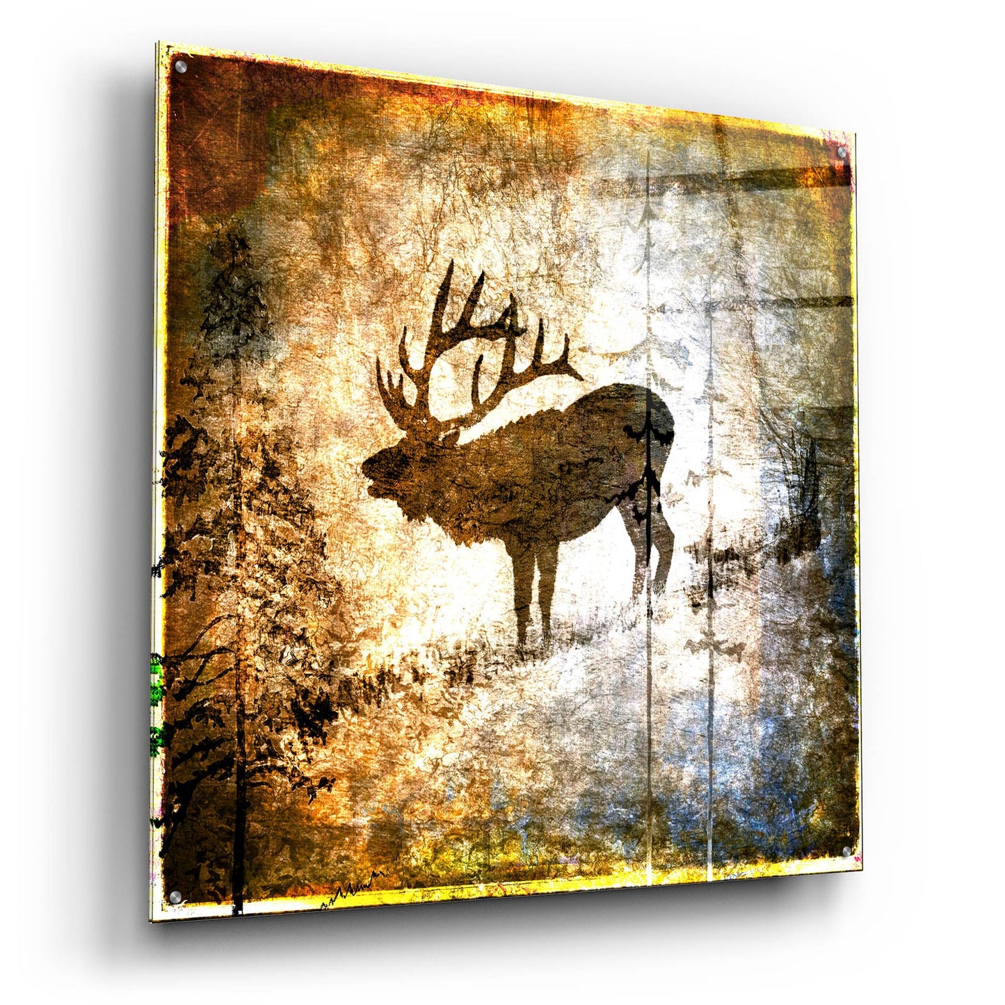 Epic Art 'High Country Elk' by Lightbox Journal, Acrylic Glass Wall Art,36x36