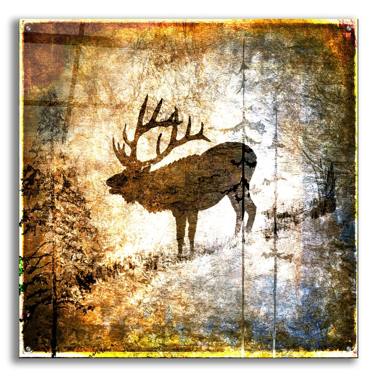 Epic Art 'High Country Elk' by Lightbox Journal, Acrylic Glass Wall Art,36x36