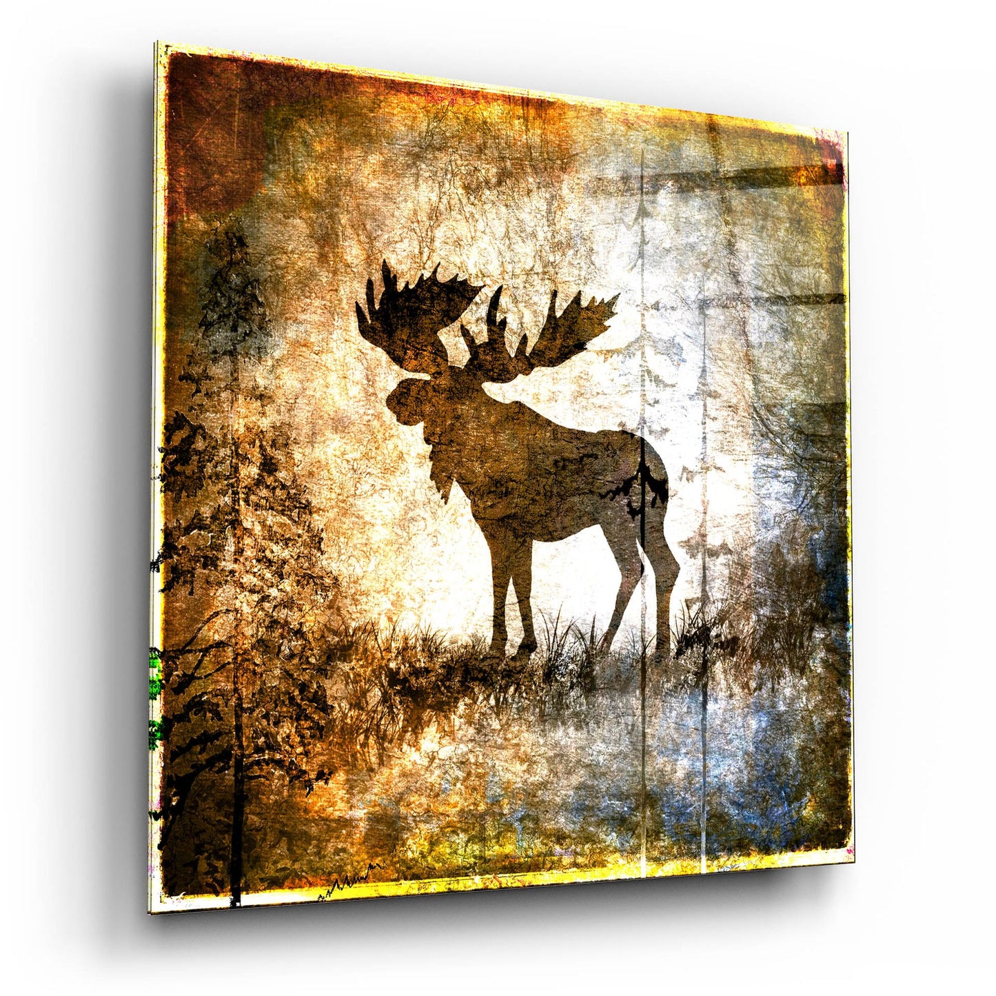 Epic Art 'High Country Moose' by Lightbox Journal, Acrylic Glass Wall Art,12x12