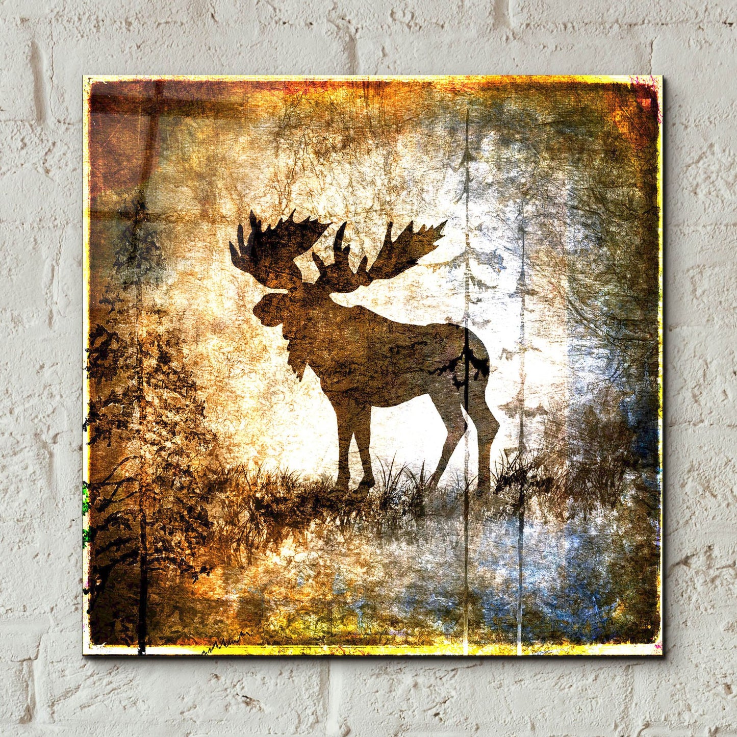 Epic Art 'High Country Moose' by Lightbox Journal, Acrylic Glass Wall Art,12x12