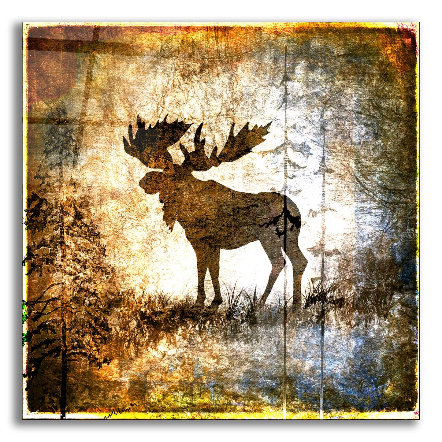 Epic Art 'High Country Moose' by Lightbox Journal, Acrylic Glass Wall Art,12x12