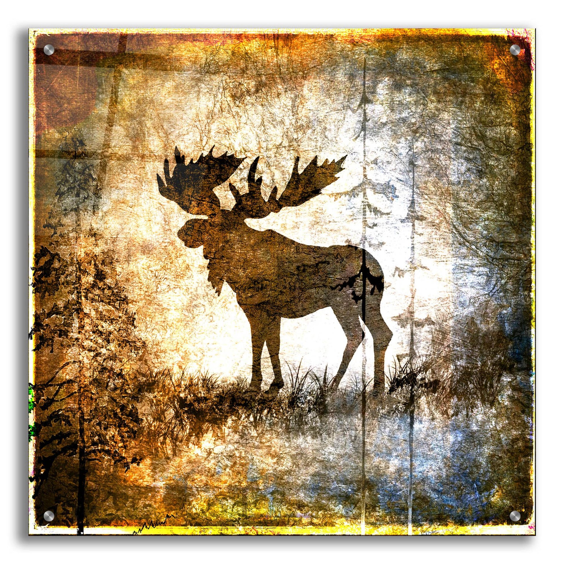 Epic Art 'High Country Moose' by Lightbox Journal, Acrylic Glass Wall Art,24x24