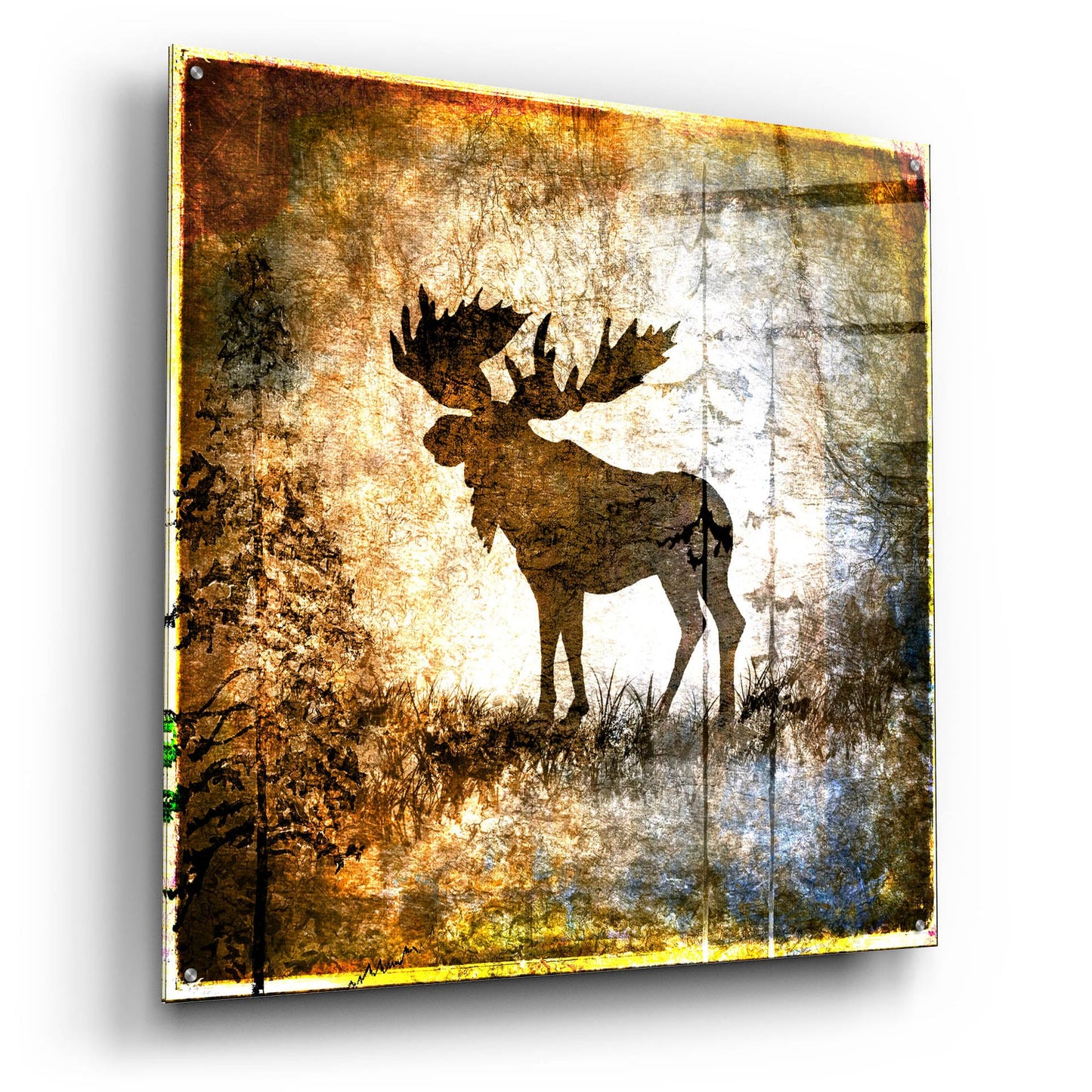 Epic Art 'High Country Moose' by Lightbox Journal, Acrylic Glass Wall Art,36x36