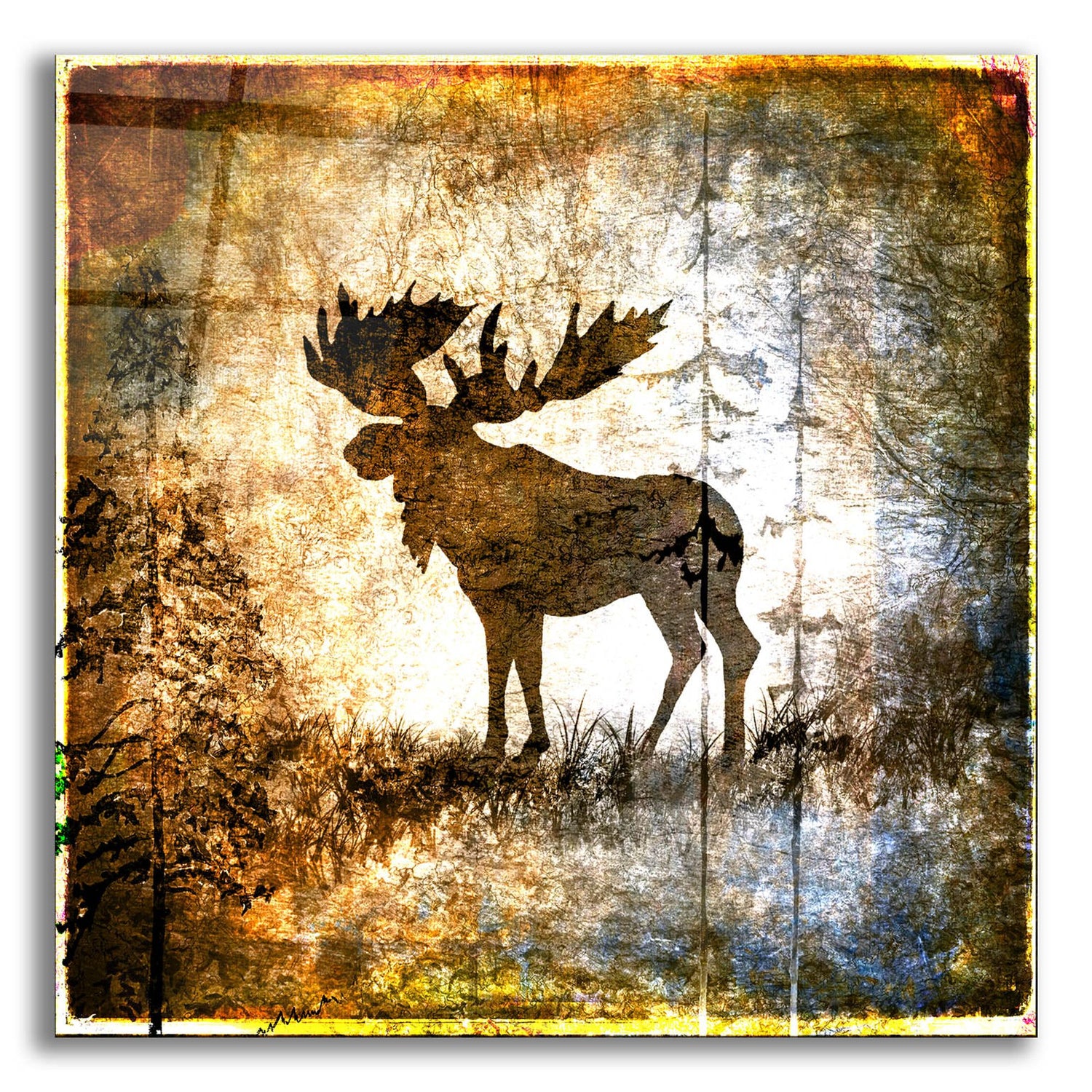 Epic Art 'High Country Moose' by Lightbox Journal, Acrylic Glass Wall Art