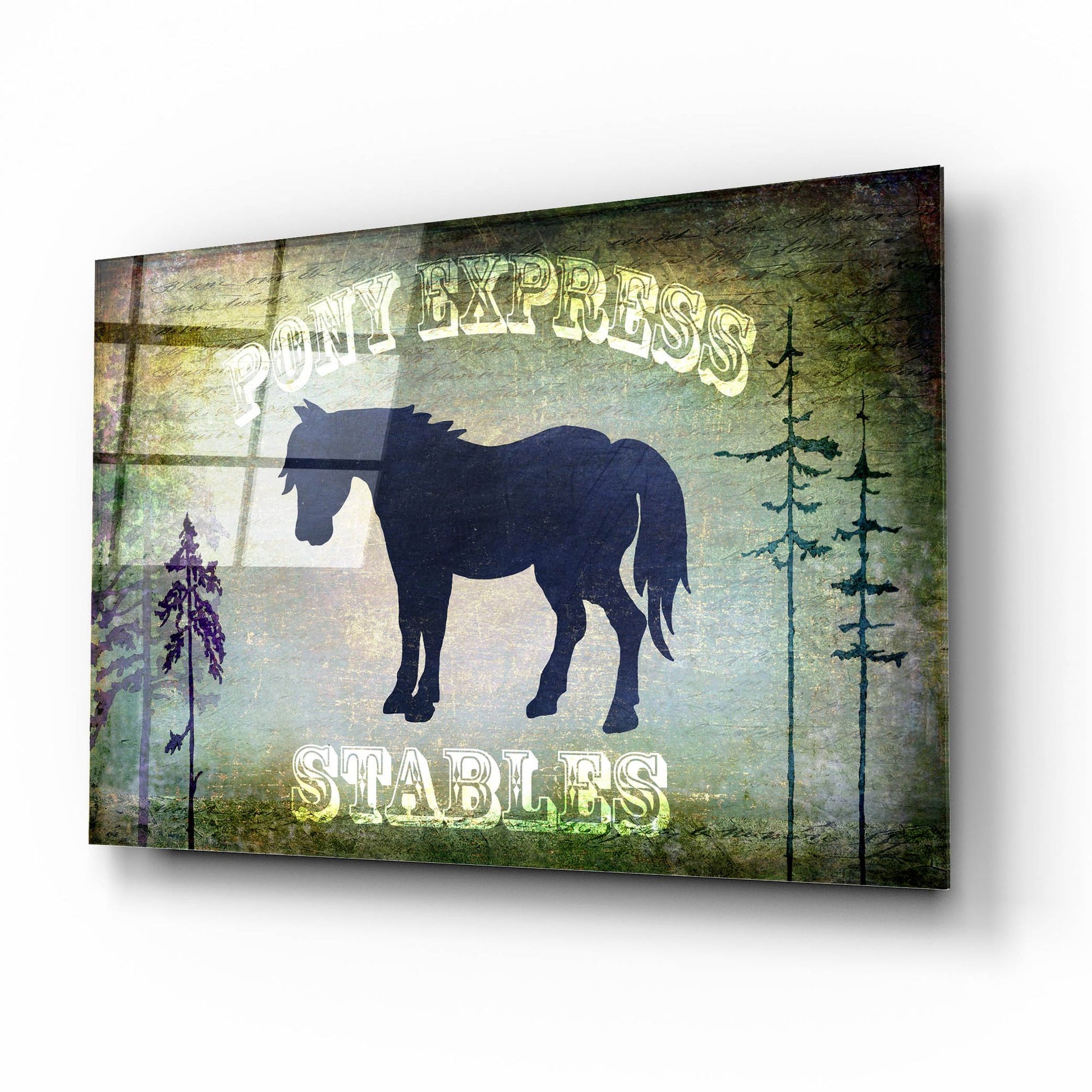 Epic Art 'Country Horse I' by Lightbox Journal, Acrylic Glass Wall Art,16x12