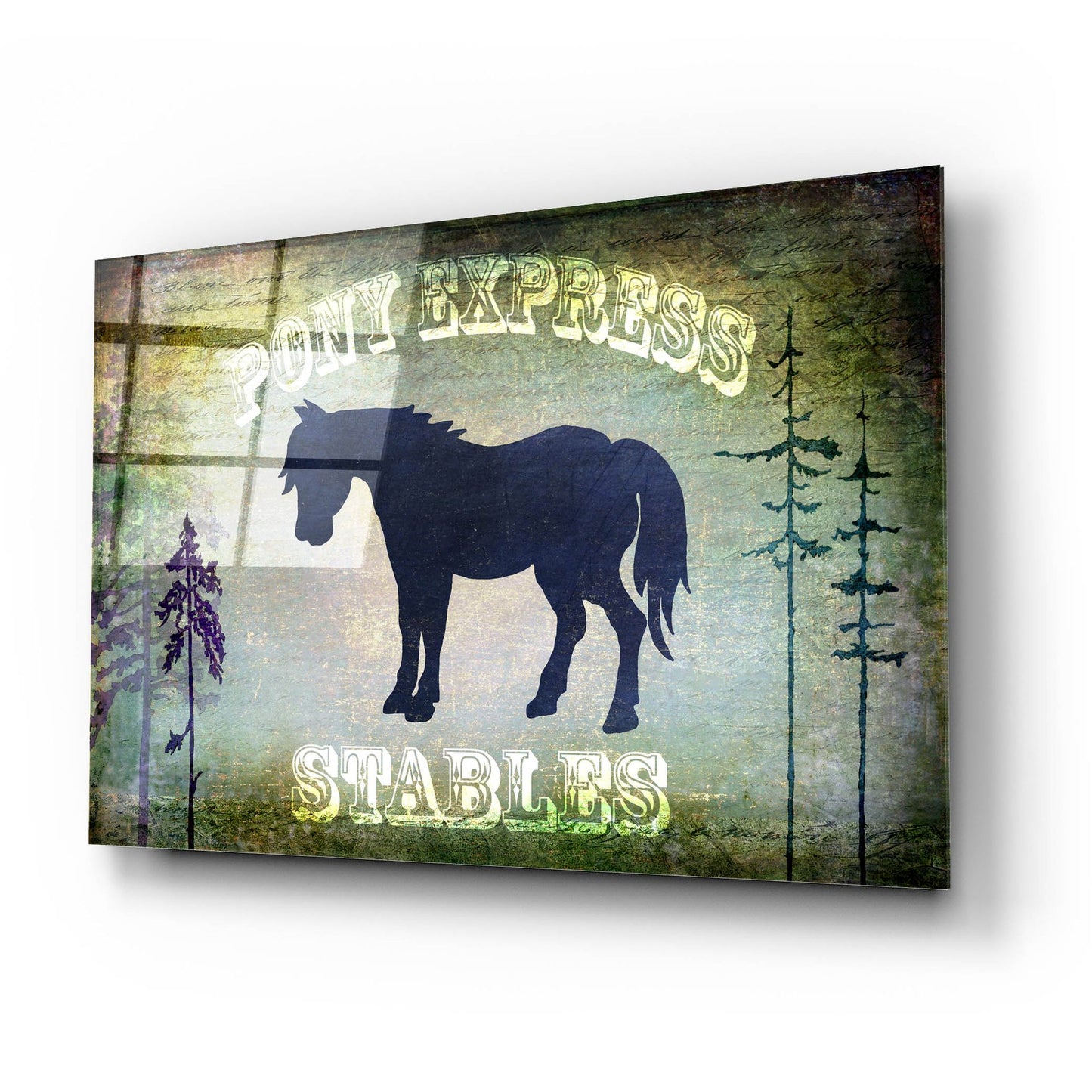 Epic Art 'Country Horse I' by Lightbox Journal, Acrylic Glass Wall Art,24x16