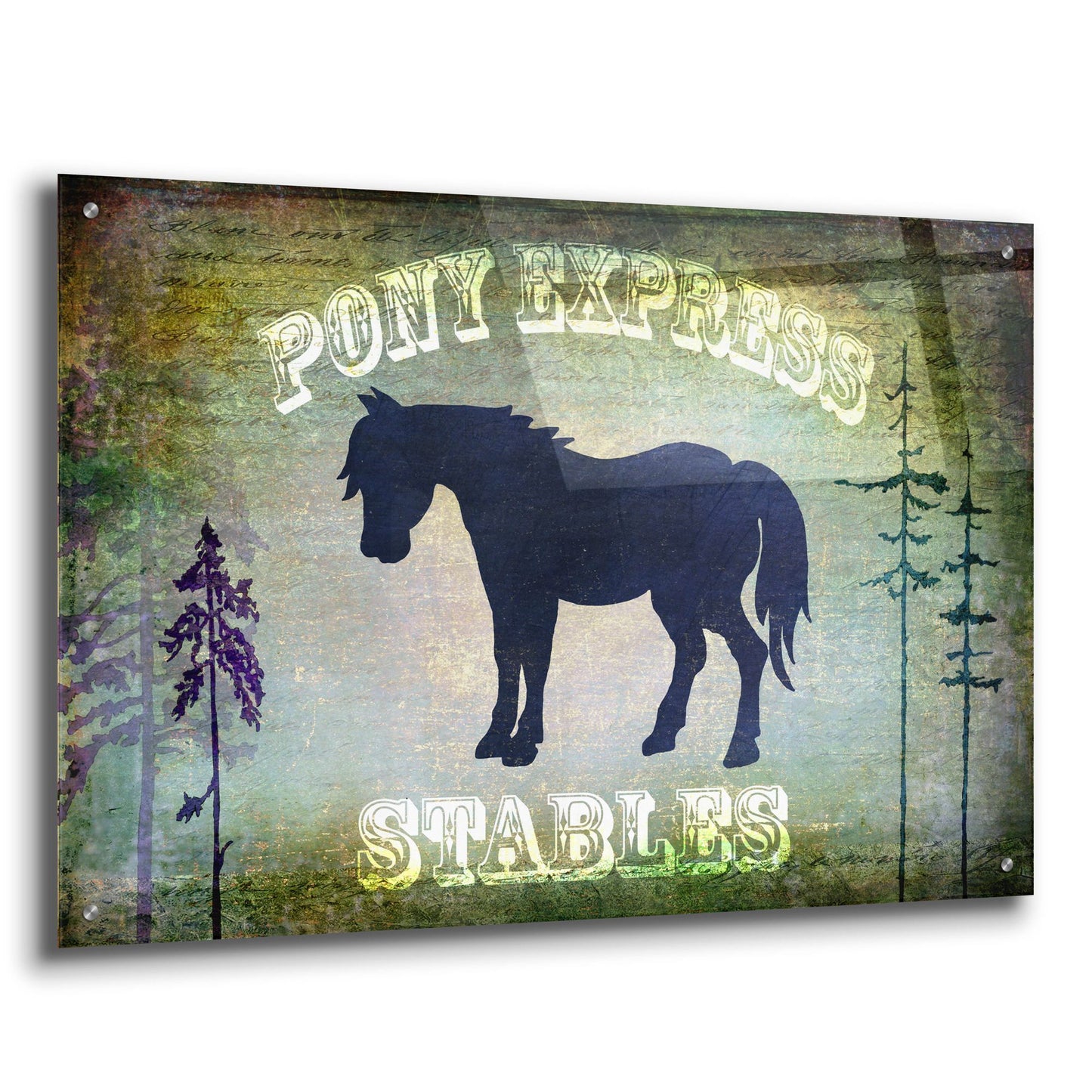 Epic Art 'Country Horse I' by Lightbox Journal, Acrylic Glass Wall Art,36x24