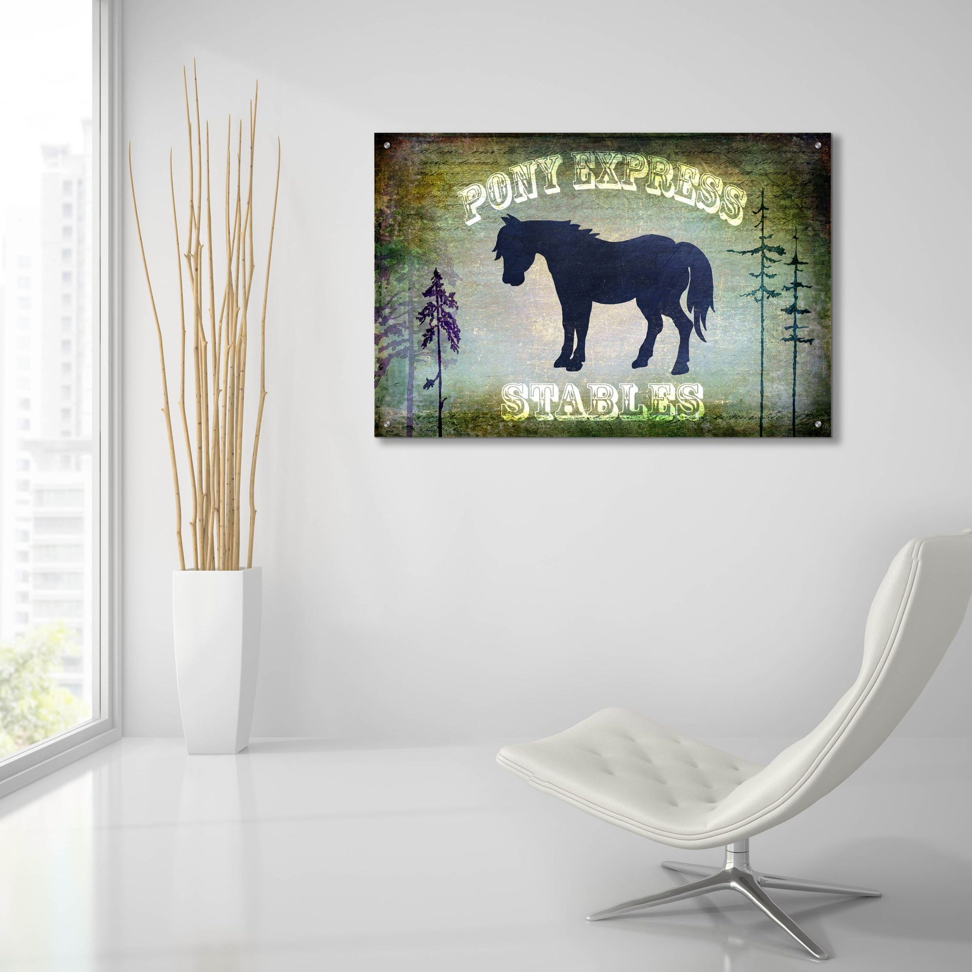 Epic Art 'Country Horse I' by Lightbox Journal, Acrylic Glass Wall Art,36x24