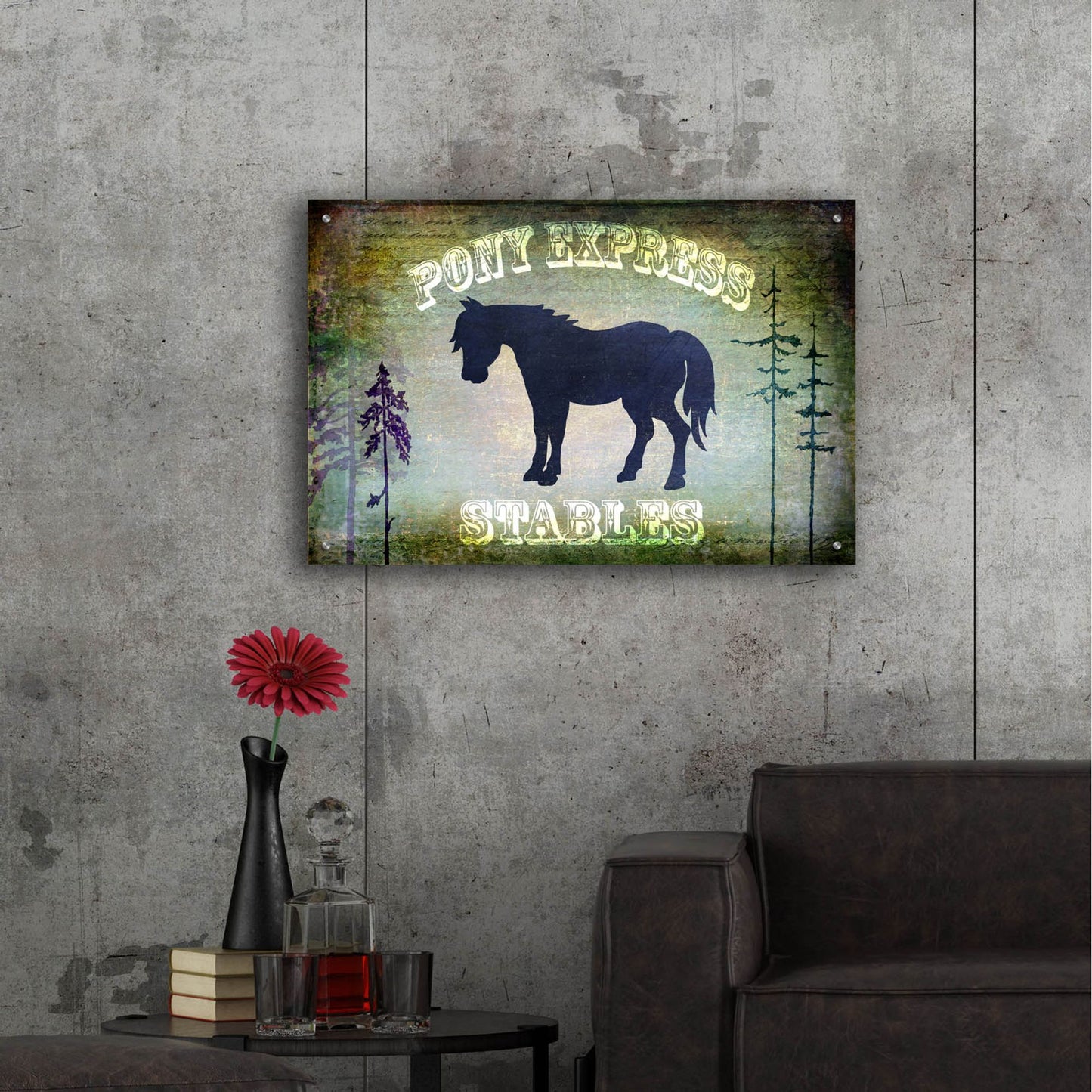 Epic Art 'Country Horse I' by Lightbox Journal, Acrylic Glass Wall Art,36x24