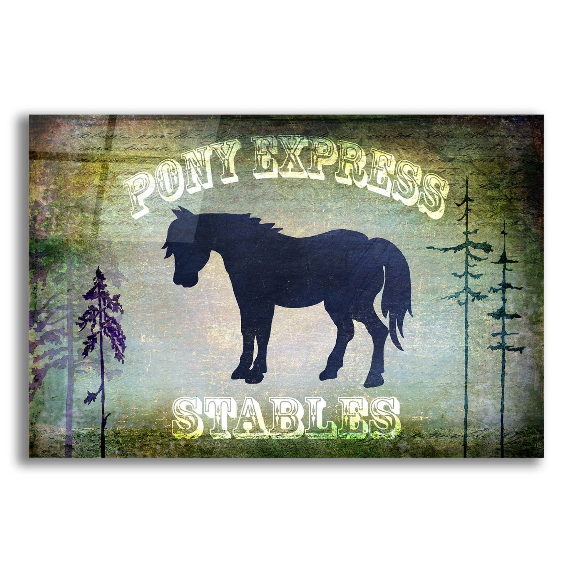 Epic Art 'Country Horse I' by Lightbox Journal, Acrylic Glass Wall Art