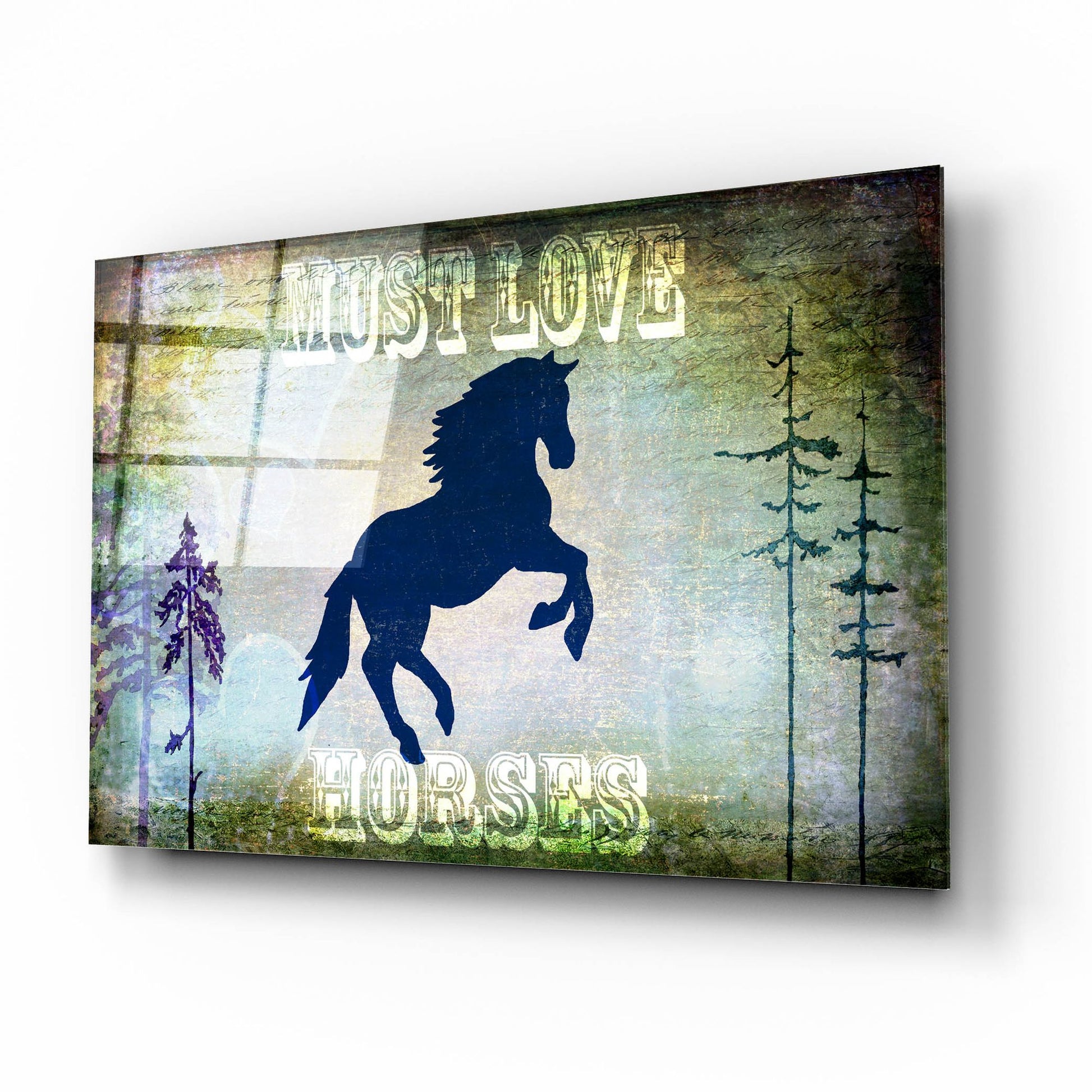 Epic Art 'Country Horse II' by Lightbox Journal, Acrylic Glass Wall Art,16x12