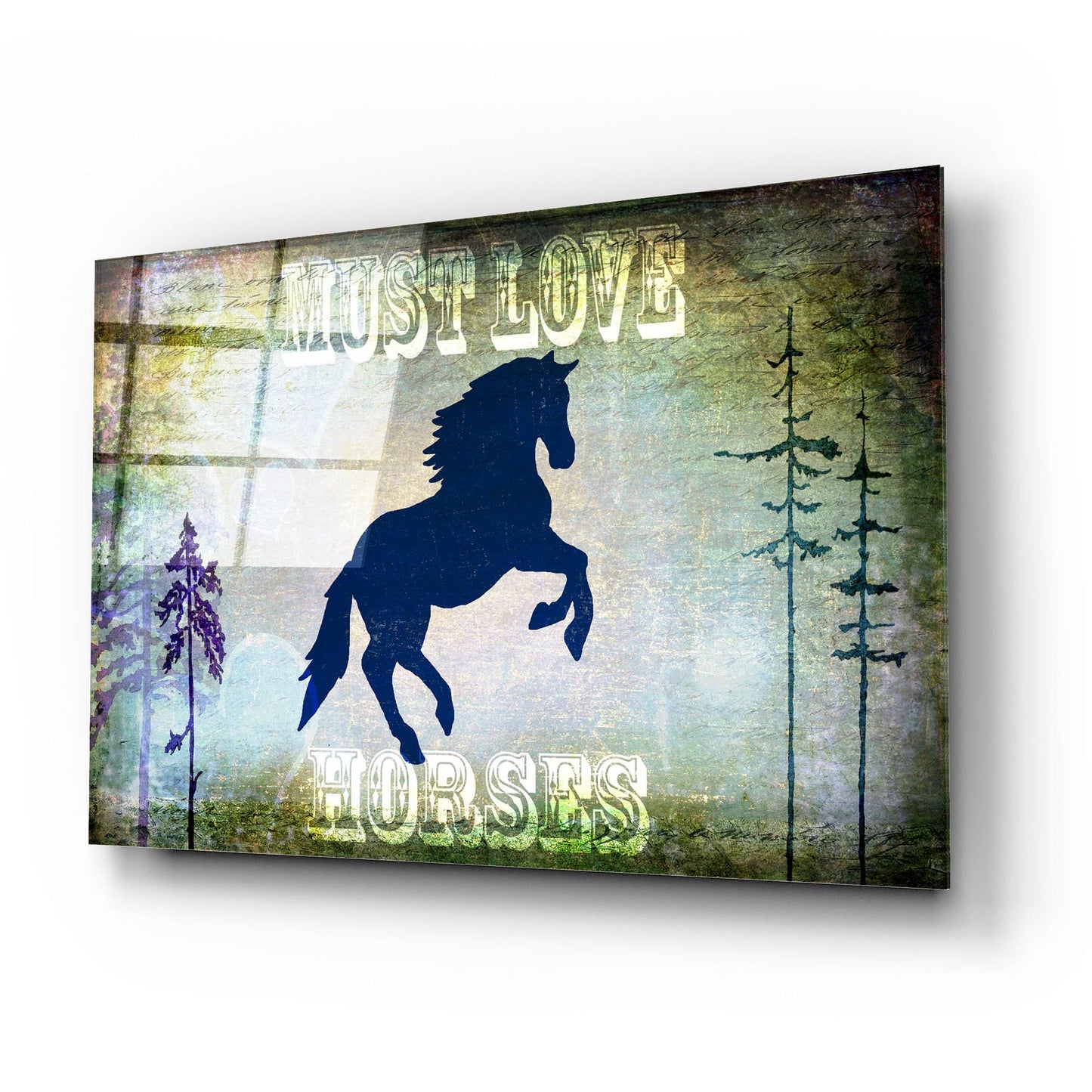 Epic Art 'Country Horse II' by Lightbox Journal, Acrylic Glass Wall Art,24x16