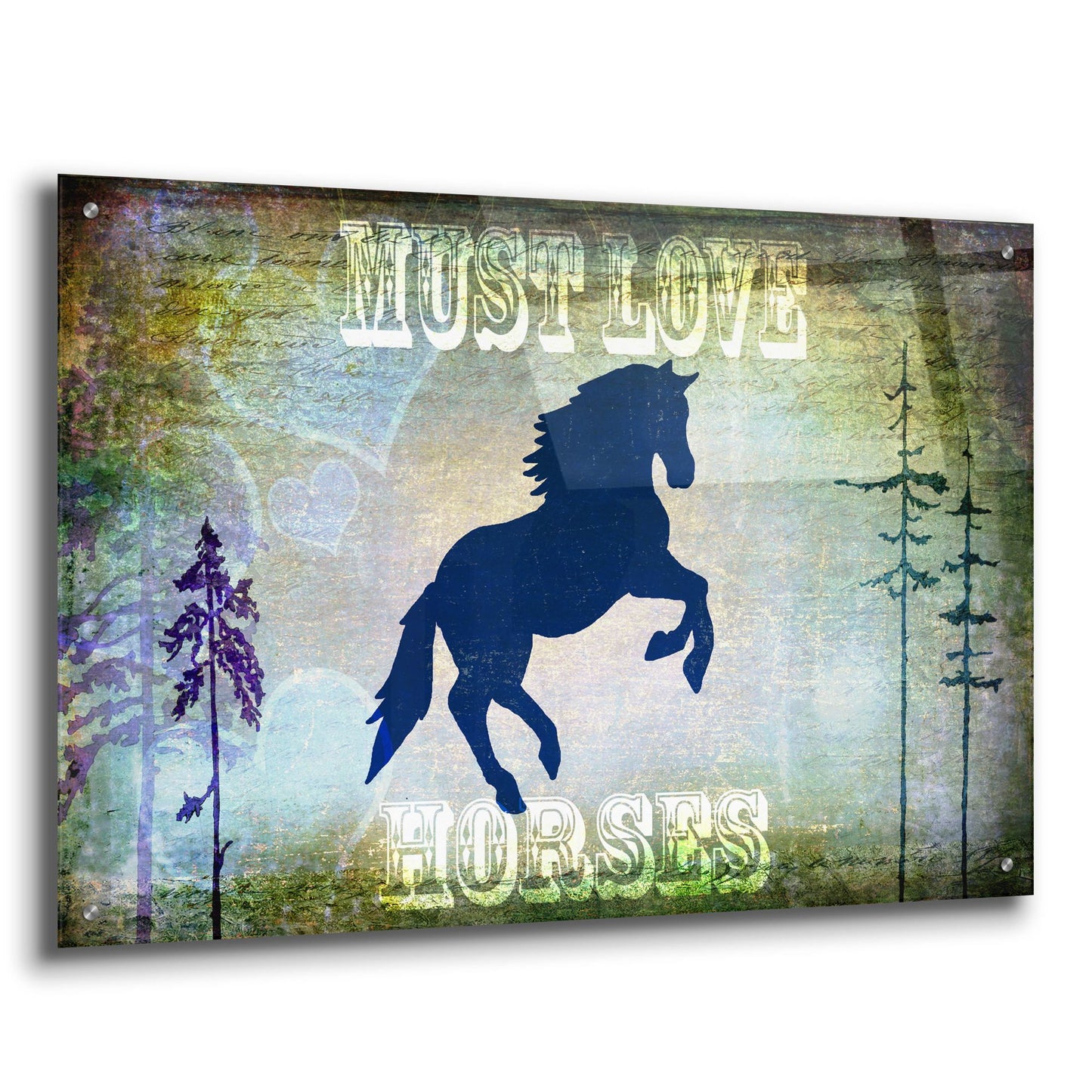 Epic Art 'Country Horse II' by Lightbox Journal, Acrylic Glass Wall Art,36x24