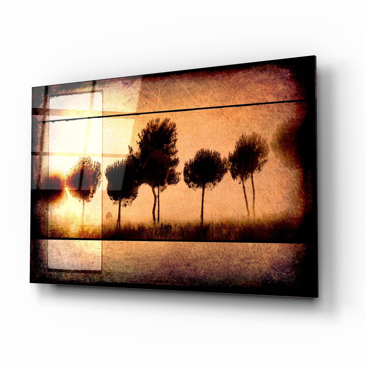 Epic Art 'For the Love of Trees I' by Lightbox Journal, Acrylic Glass Wall Art,16x12