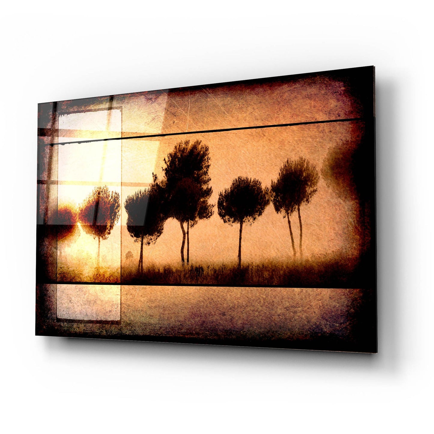 Epic Art 'For the Love of Trees I' by Lightbox Journal, Acrylic Glass Wall Art,24x16