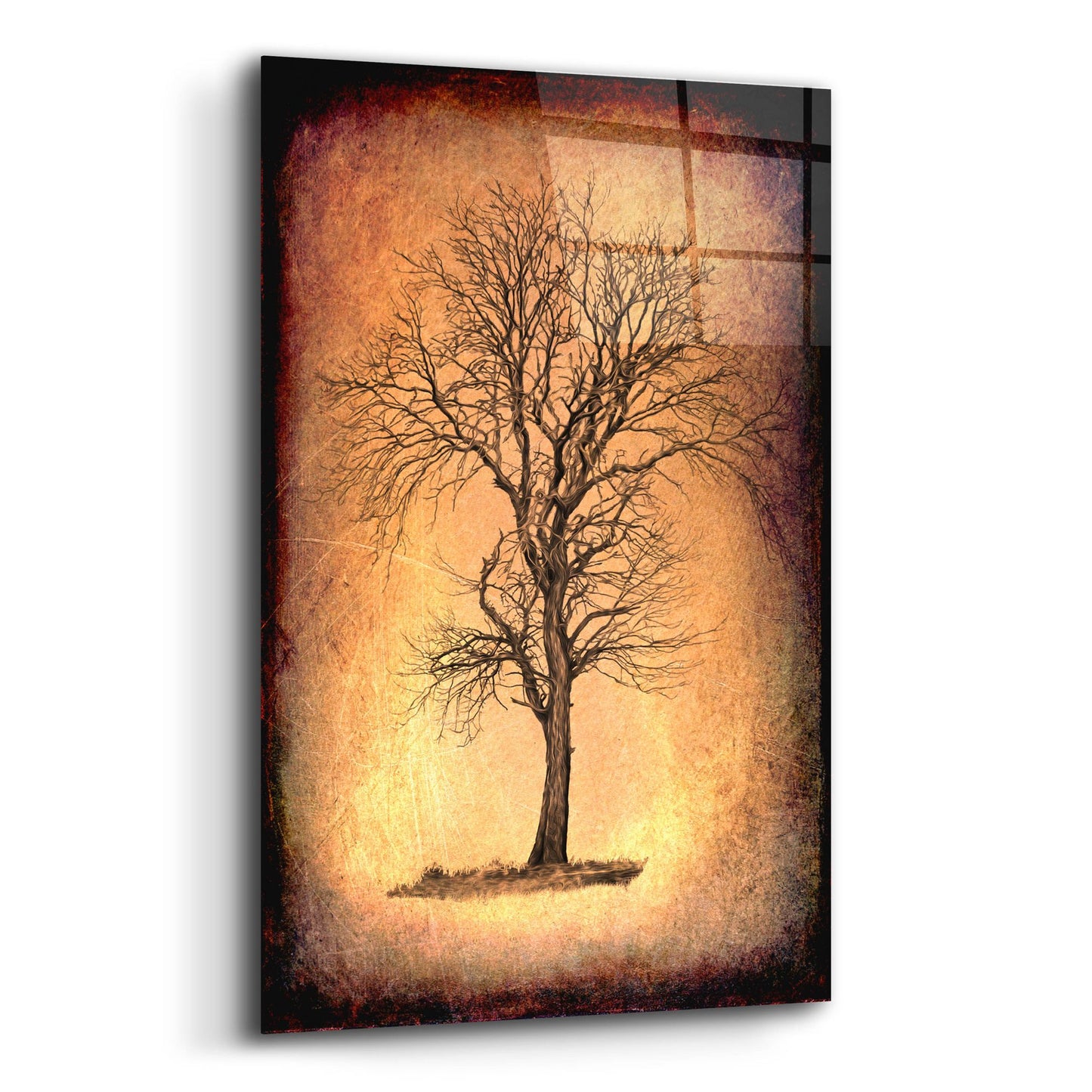 Epic Art 'For the Love of Trees II' by Lightbox Journal, Acrylic Glass Wall Art,12x16