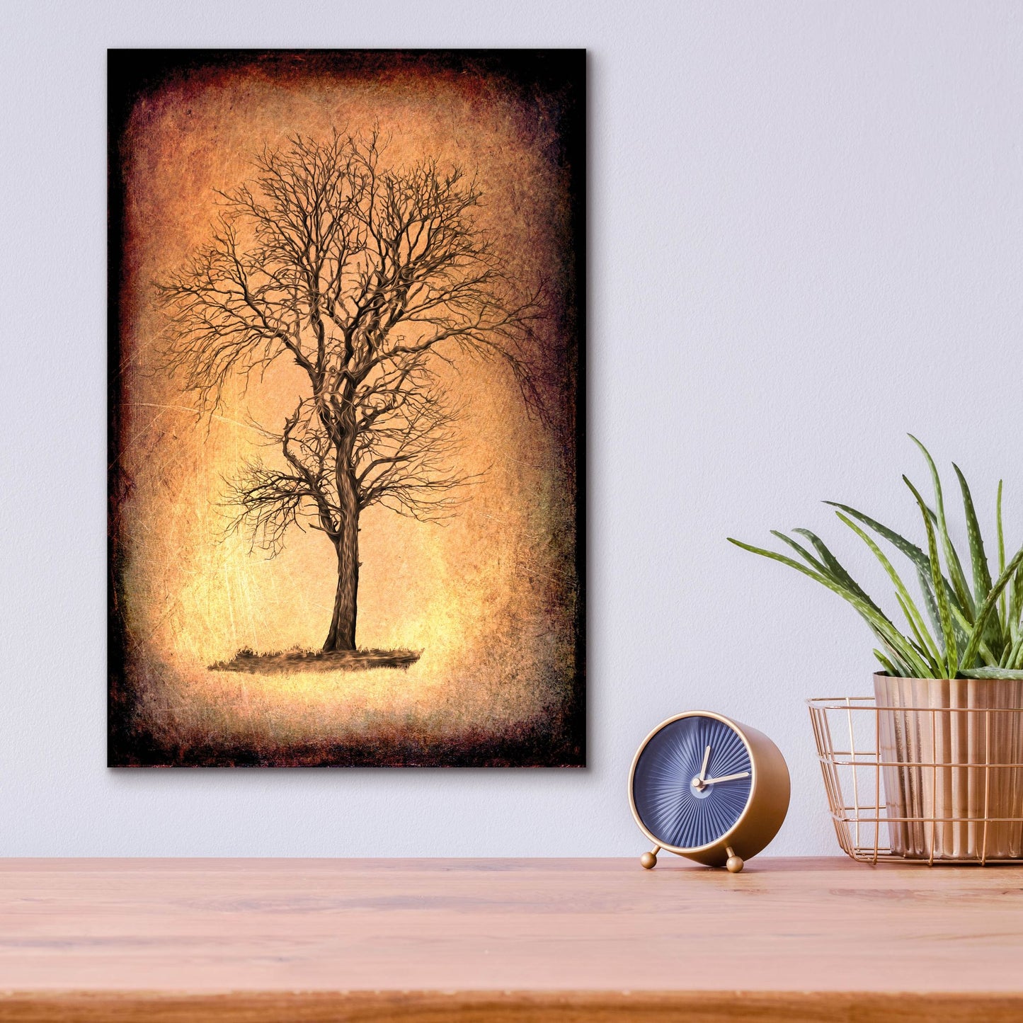 Epic Art 'For the Love of Trees II' by Lightbox Journal, Acrylic Glass Wall Art,12x16