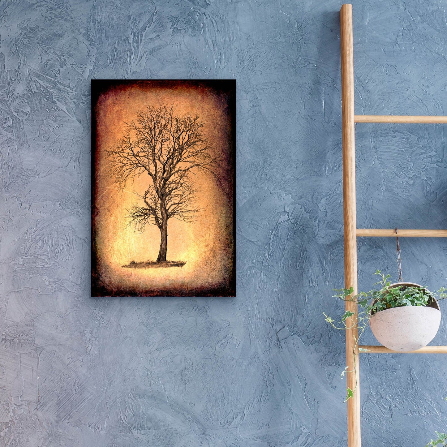 Epic Art 'For the Love of Trees II' by Lightbox Journal, Acrylic Glass Wall Art,16x24