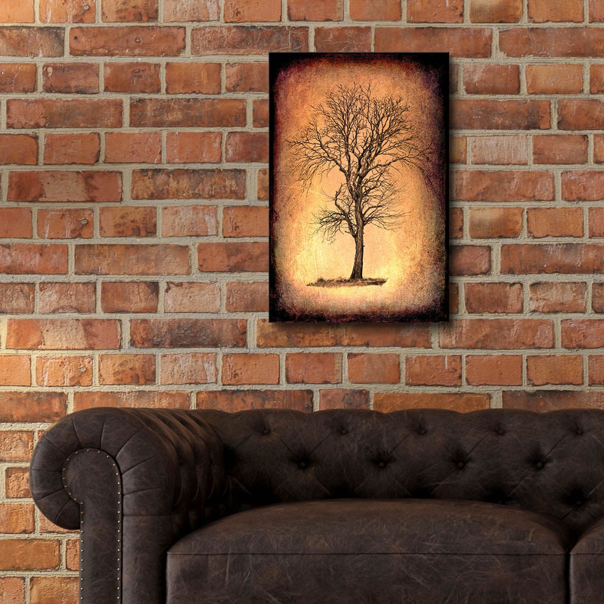 Epic Art 'For the Love of Trees II' by Lightbox Journal, Acrylic Glass Wall Art,16x24