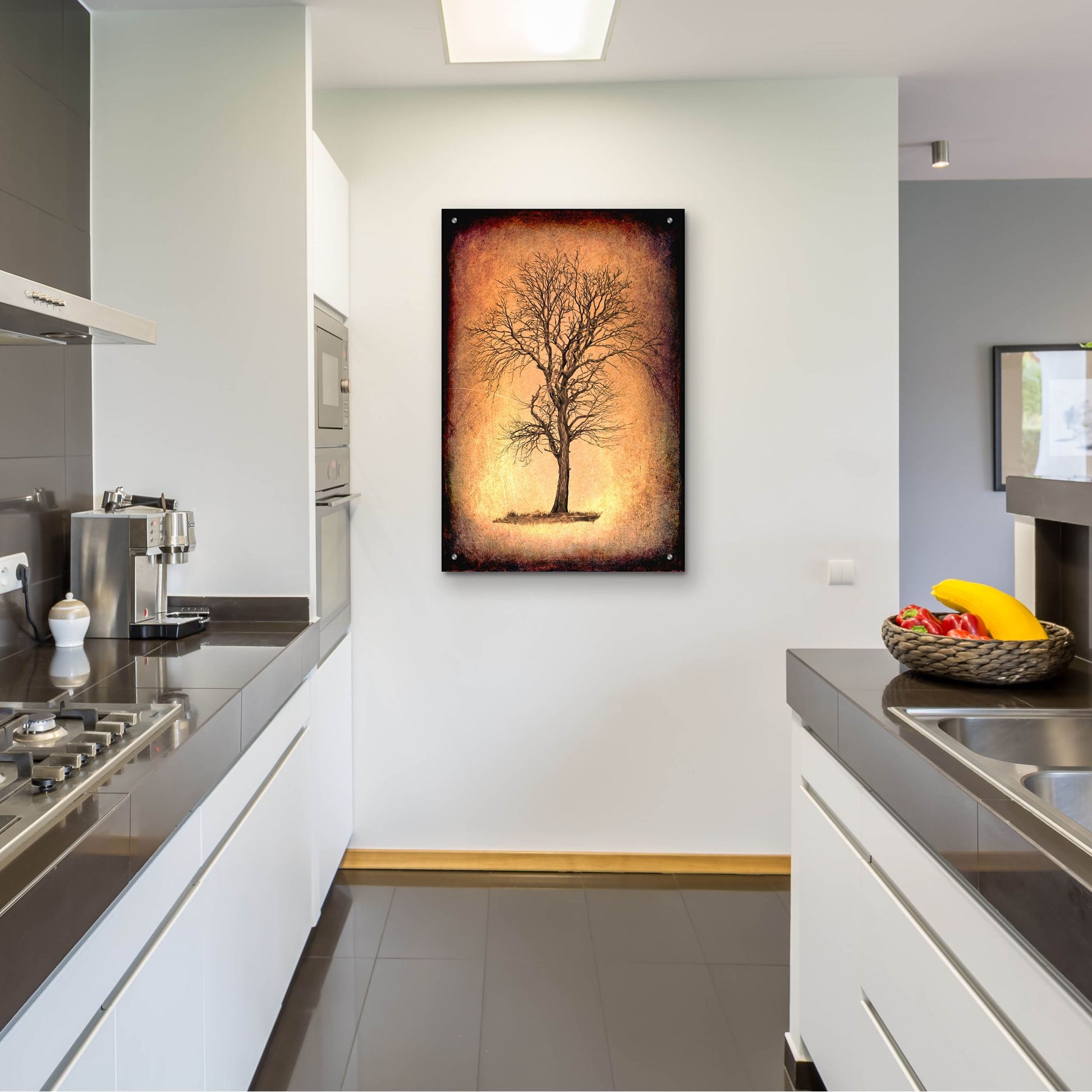 Epic Art 'For the Love of Trees II' by Lightbox Journal, Acrylic Glass Wall Art,24x36