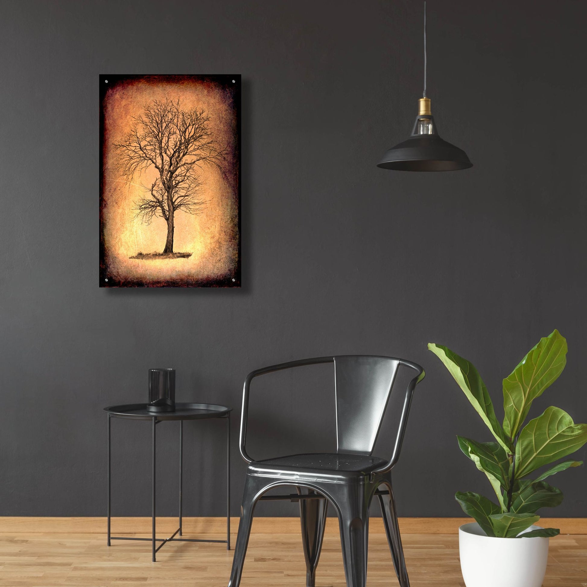 Epic Art 'For the Love of Trees II' by Lightbox Journal, Acrylic Glass Wall Art,24x36