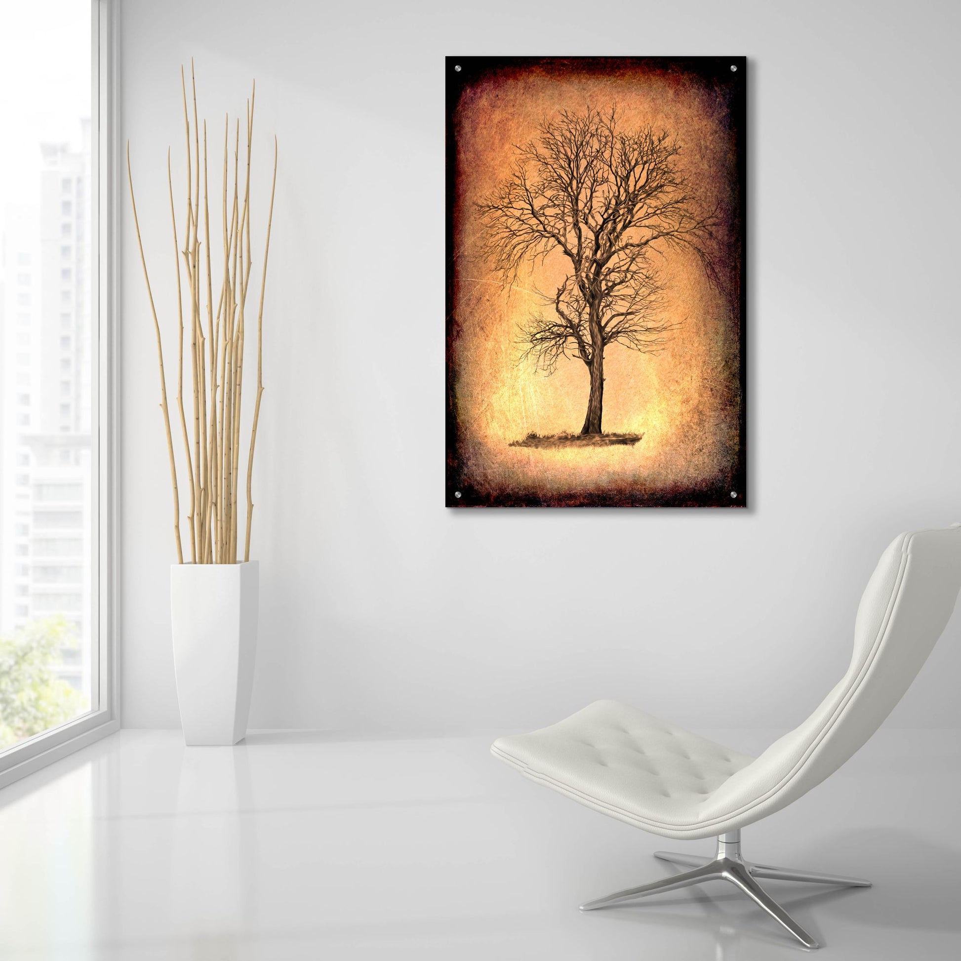 Epic Art 'For the Love of Trees II' by Lightbox Journal, Acrylic Glass Wall Art,24x36