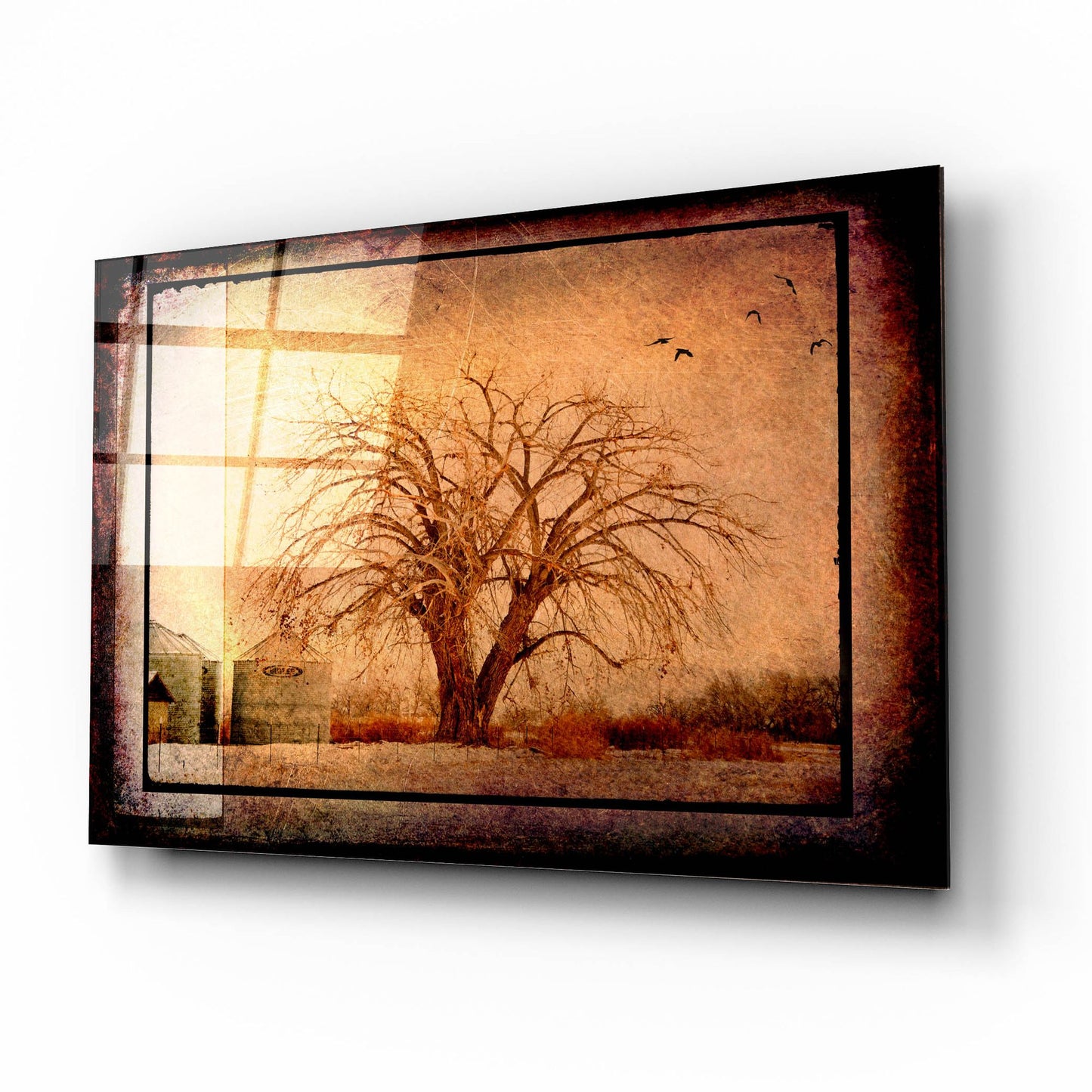 Epic Art 'For the Love of Trees IV' by Lightbox Journal, Acrylic Glass Wall Art,16x12