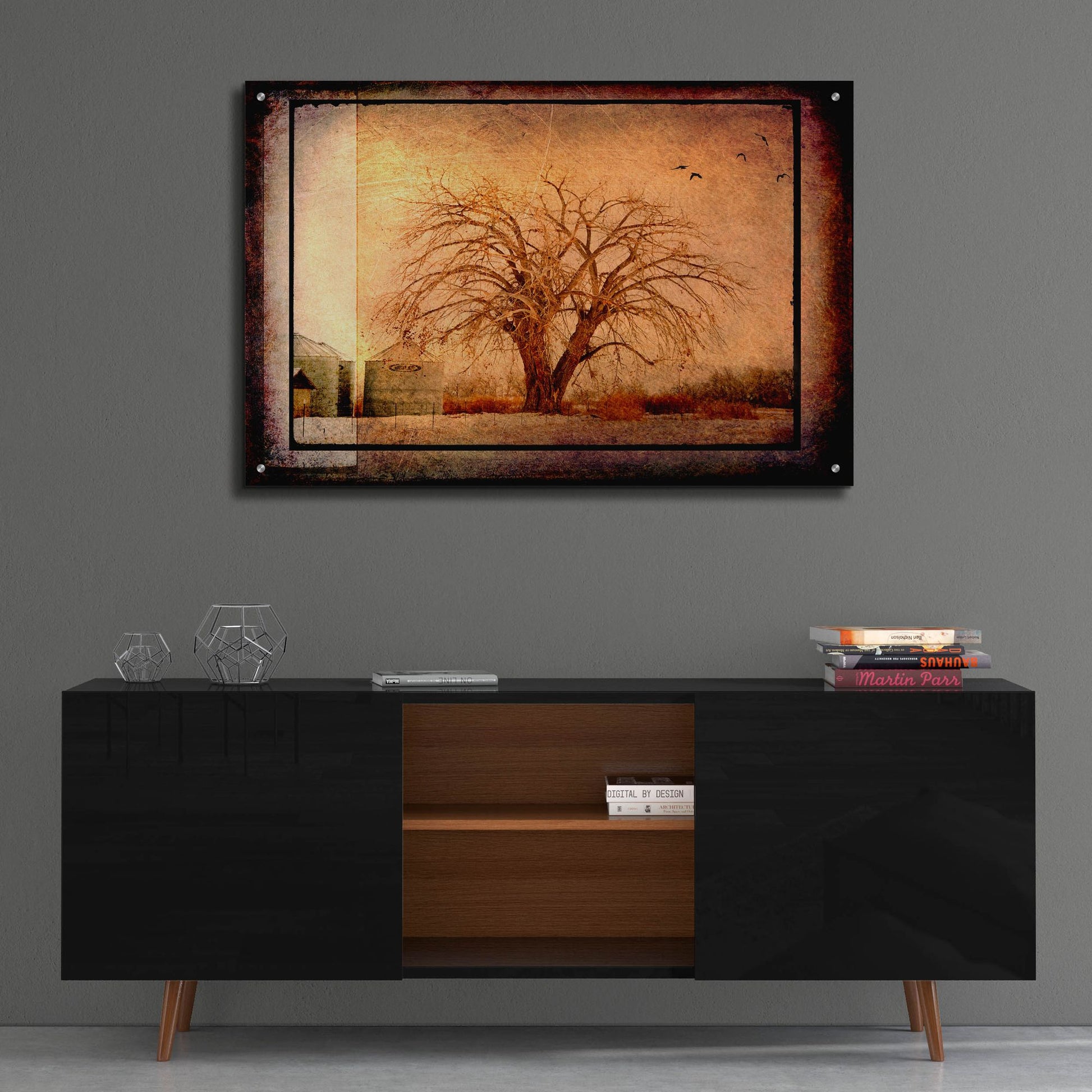 Epic Art 'For the Love of Trees IV' by Lightbox Journal, Acrylic Glass Wall Art,36x24