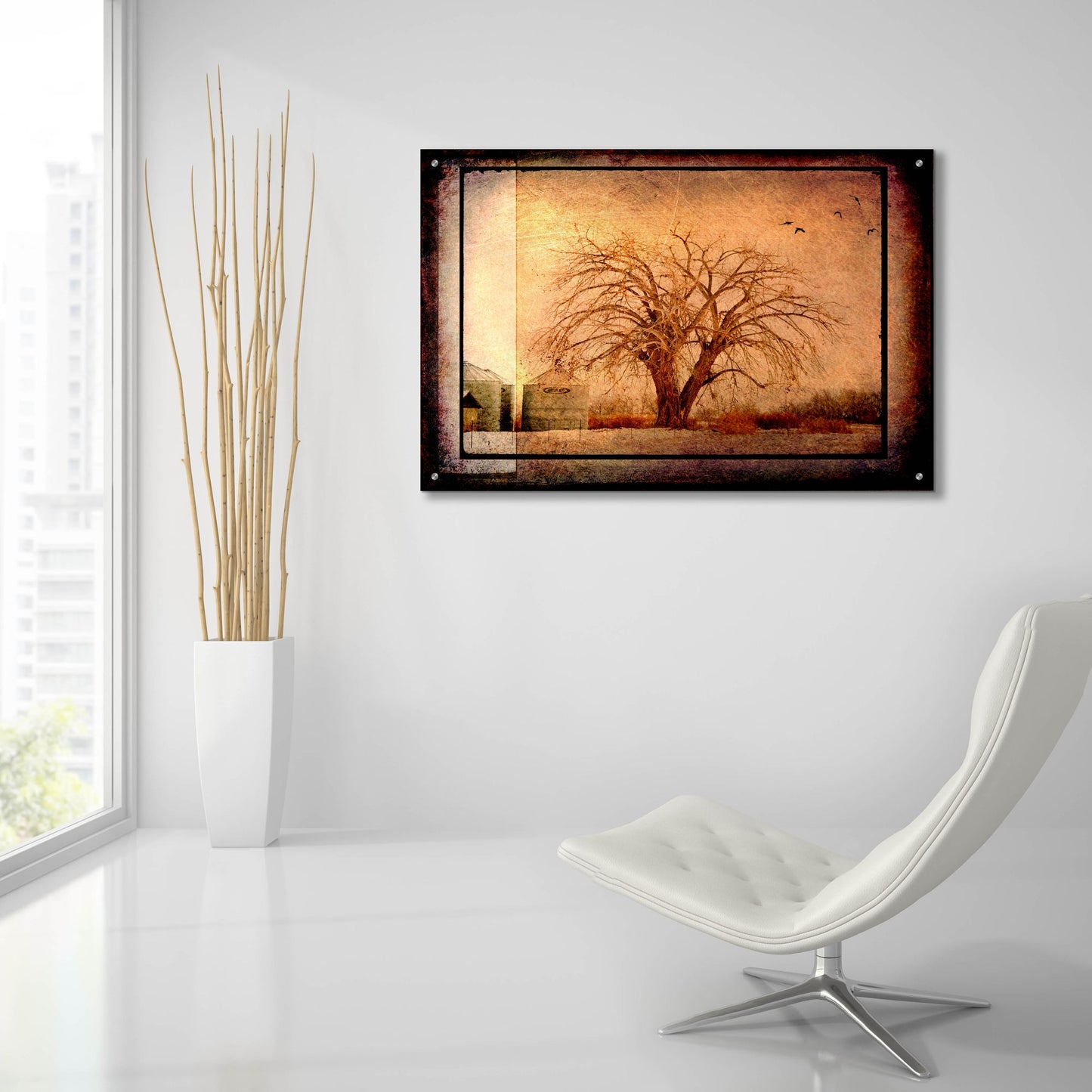 Epic Art 'For the Love of Trees IV' by Lightbox Journal, Acrylic Glass Wall Art,36x24