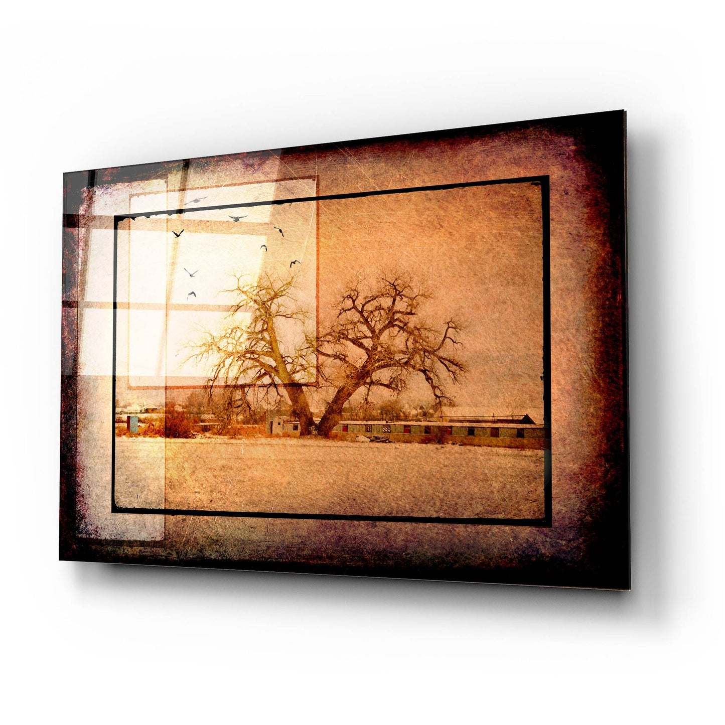 Epic Art 'For the Love of Trees V' by Lightbox Journal, Acrylic Glass Wall Art,24x16